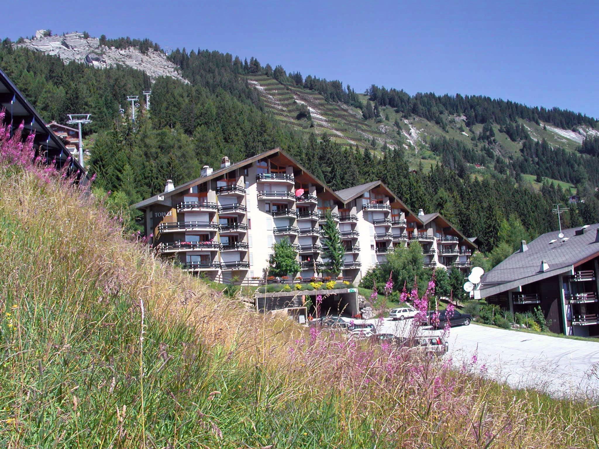 Photo 11 - Appartement de 1 chambre à Ayent avec terrasse et vues sur la montagne