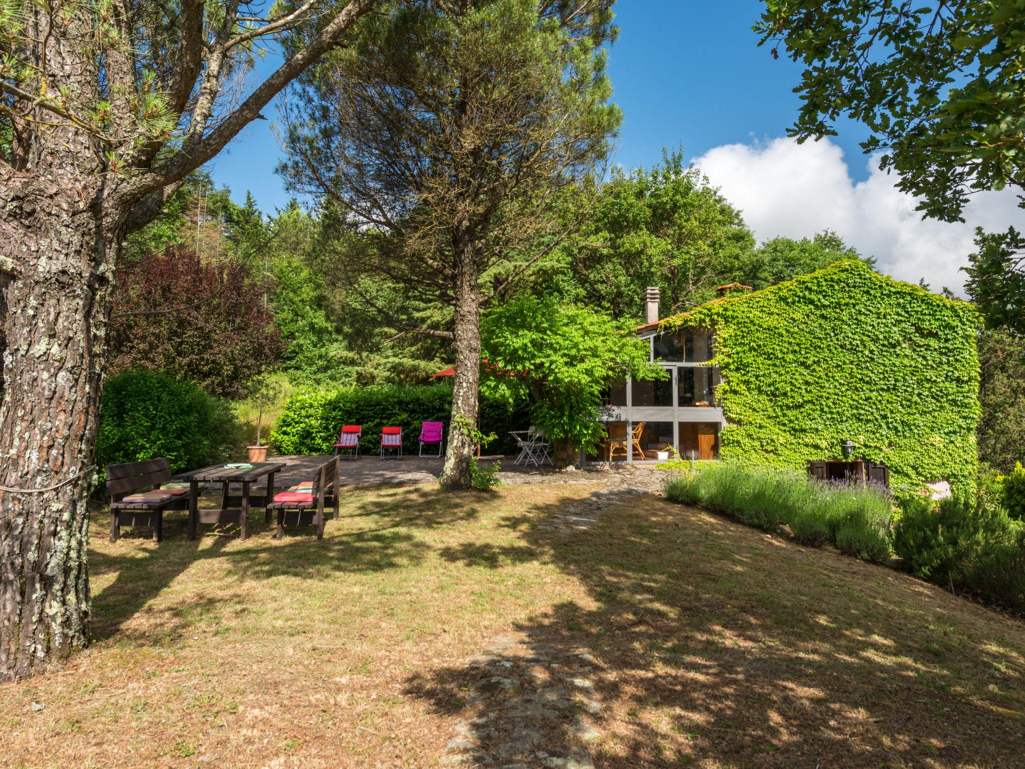 Photo 13 - Maison de 1 chambre à Montieri avec jardin et terrasse