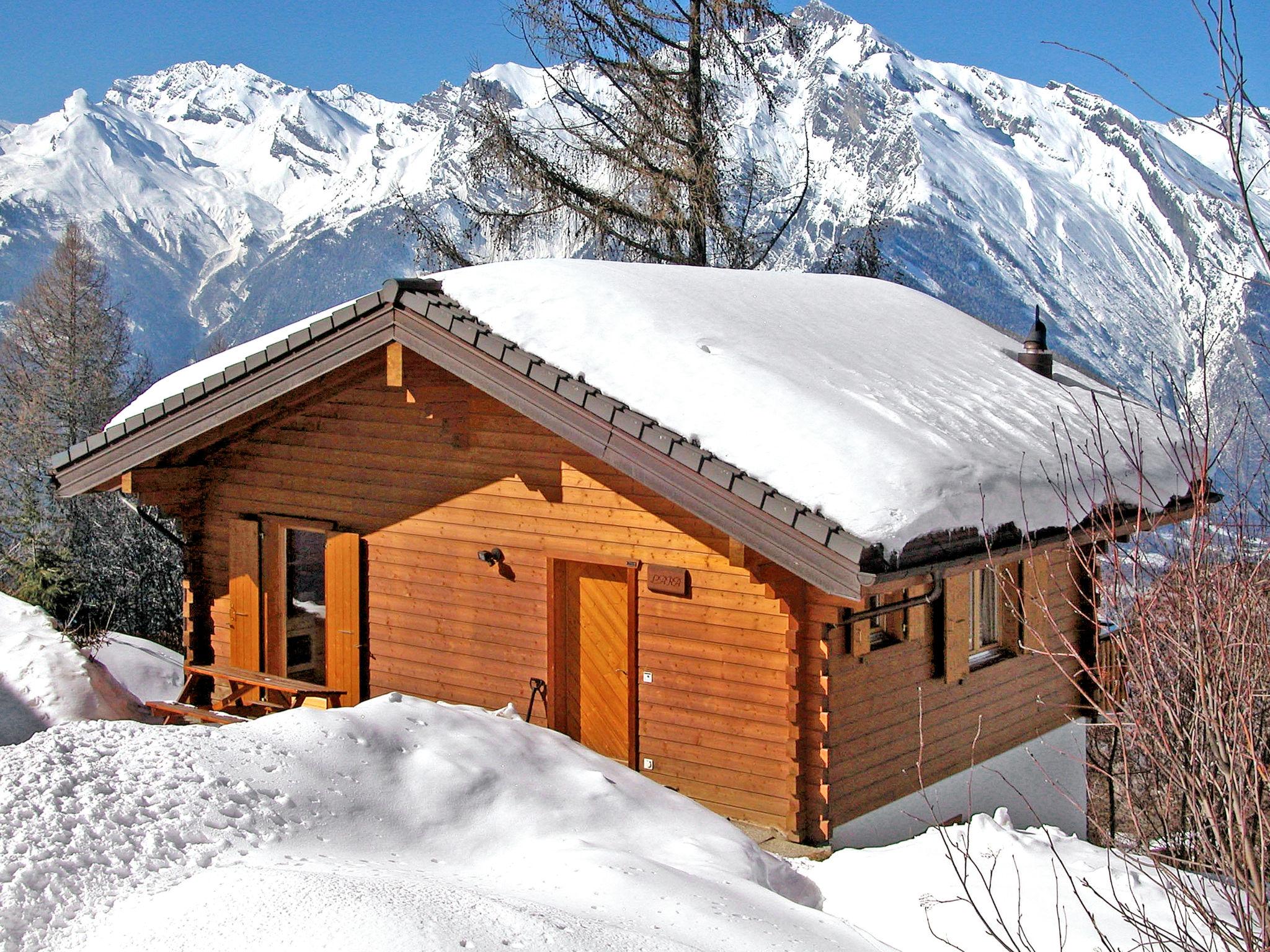 Foto 25 - Casa de 3 quartos em Nendaz com jardim e terraço