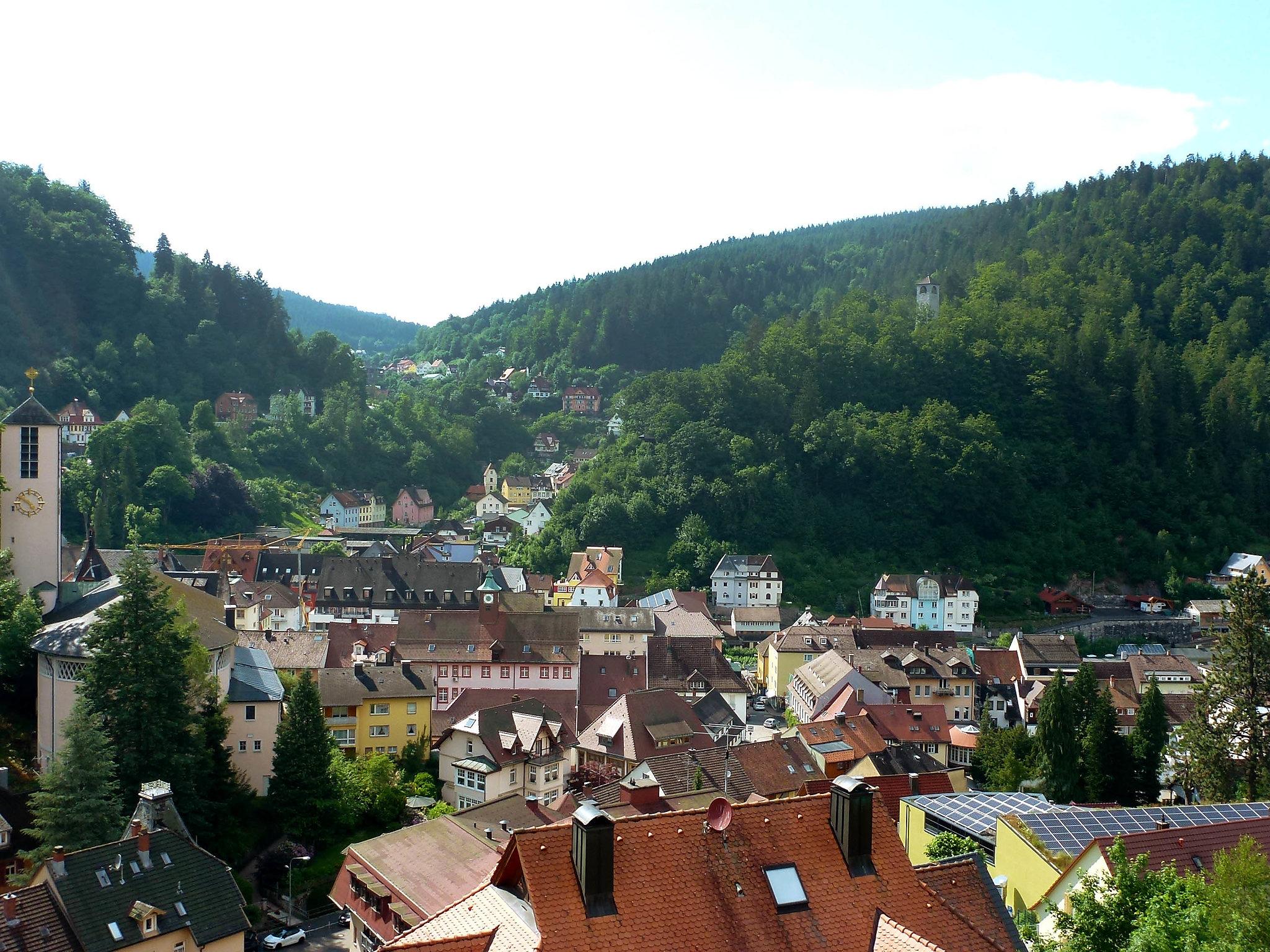 Foto 20 - Apartamento de 1 quarto em Triberg im Schwarzwald com jardim e terraço