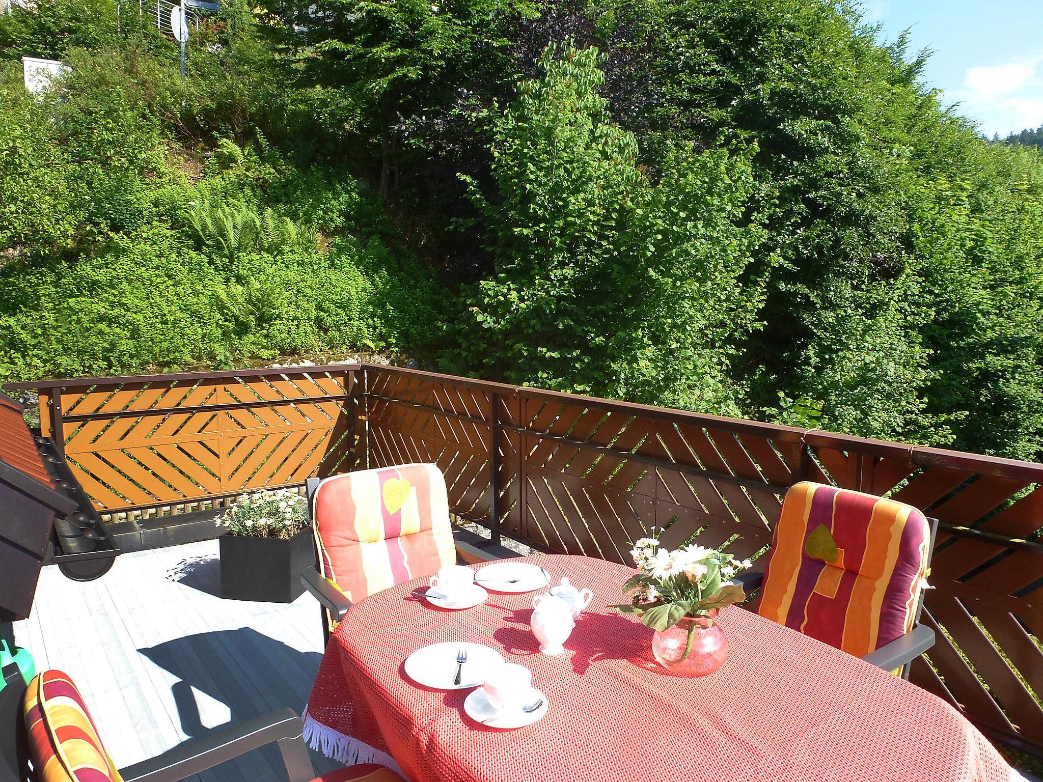 Photo 15 - Appartement de 1 chambre à Triberg im Schwarzwald avec jardin et terrasse