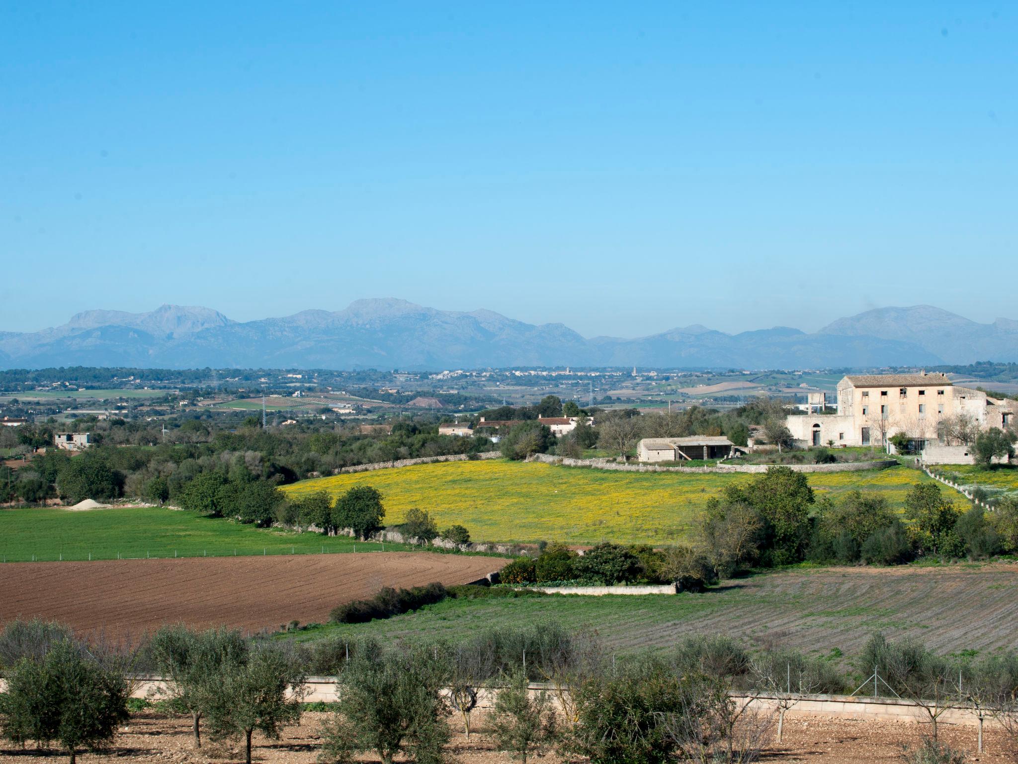 Photo 61 - 3 bedroom House in Manacor with private pool and garden