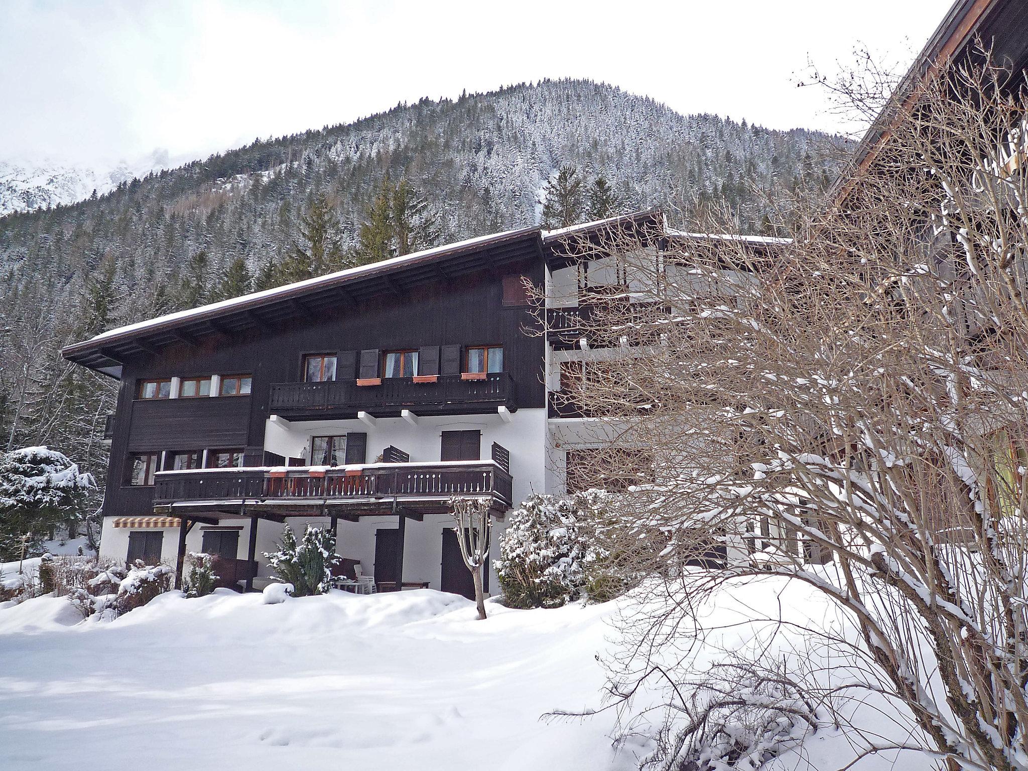 Photo 15 - 2 bedroom Apartment in Chamonix-Mont-Blanc with mountain view