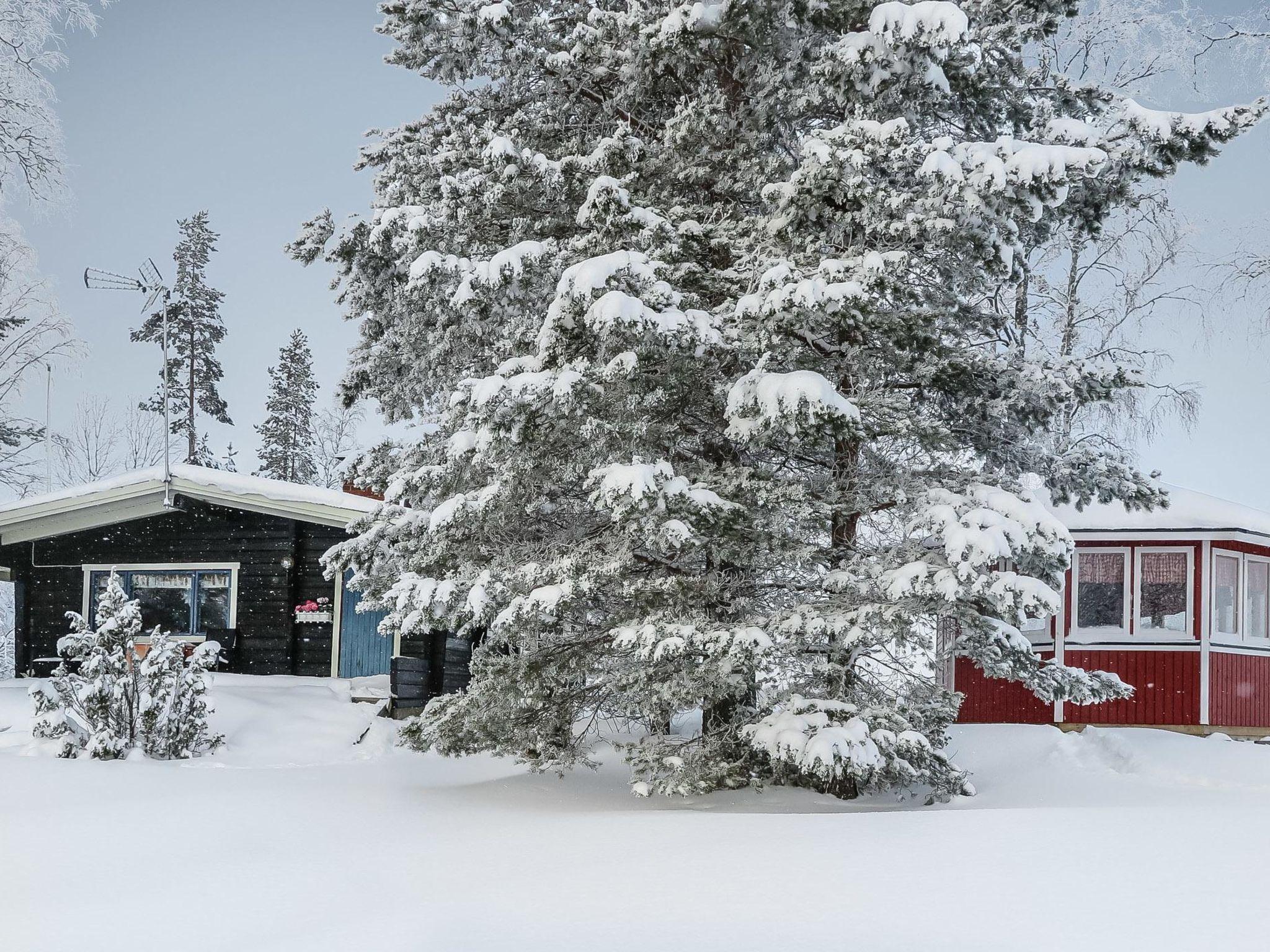 Foto 6 - Haus mit 1 Schlafzimmer in Pyhäjärvi mit sauna