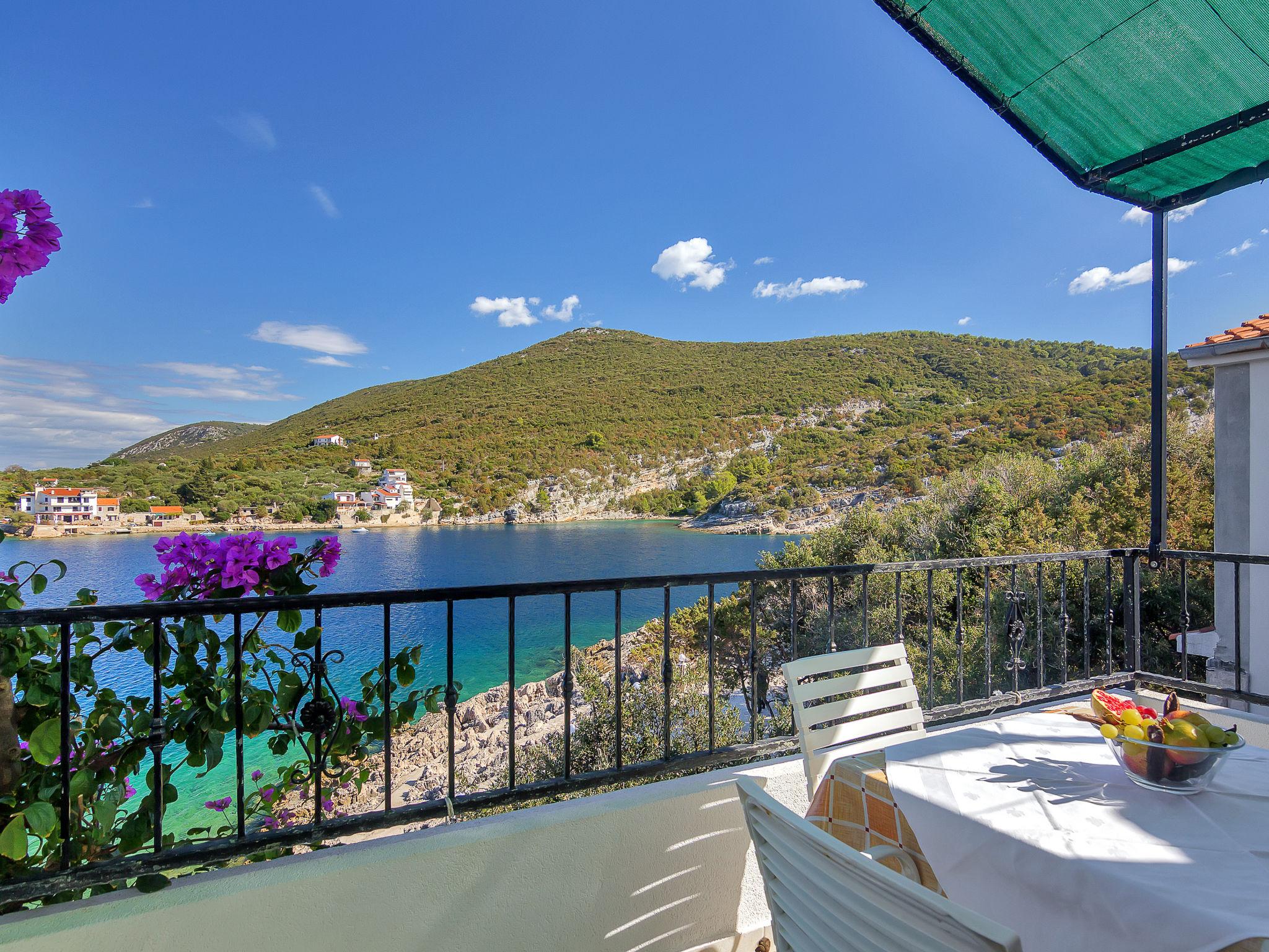 Photo 9 - Appartement en Jelsa avec terrasse et vues à la mer