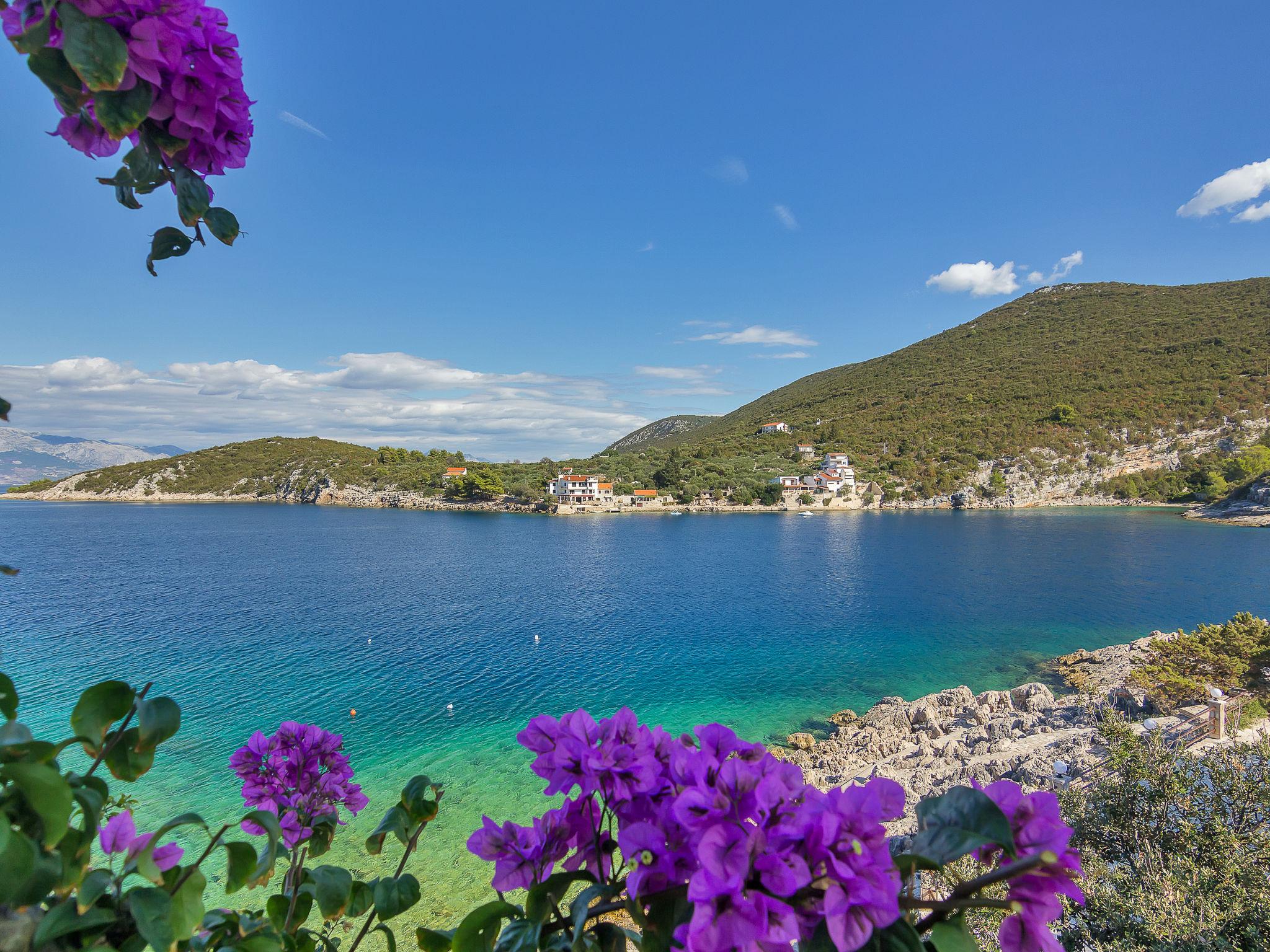 Foto 10 - Appartamento a Jelsa con terrazza e vista mare