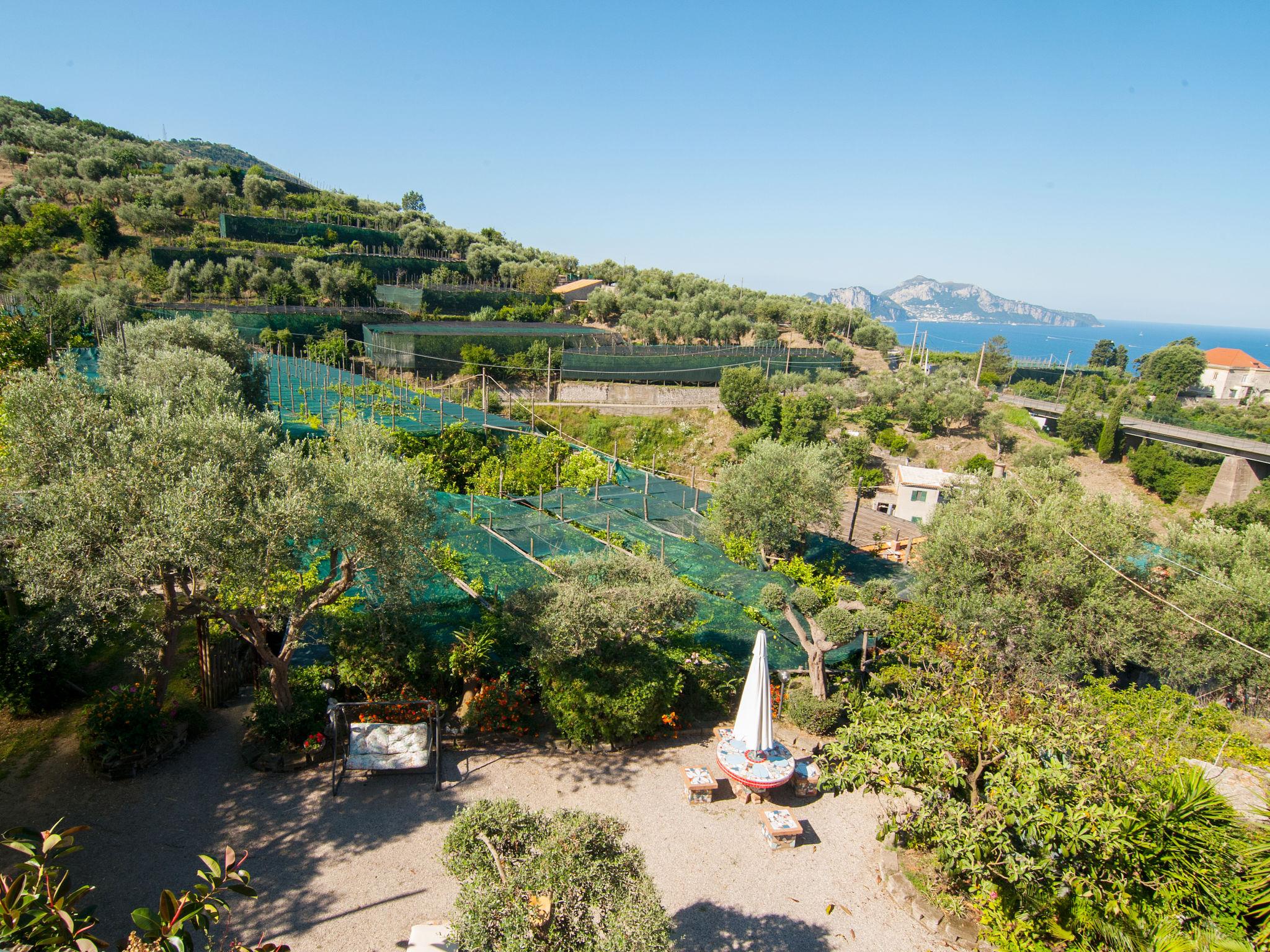 Foto 33 - Casa con 3 camere da letto a Massa Lubrense con piscina privata e giardino