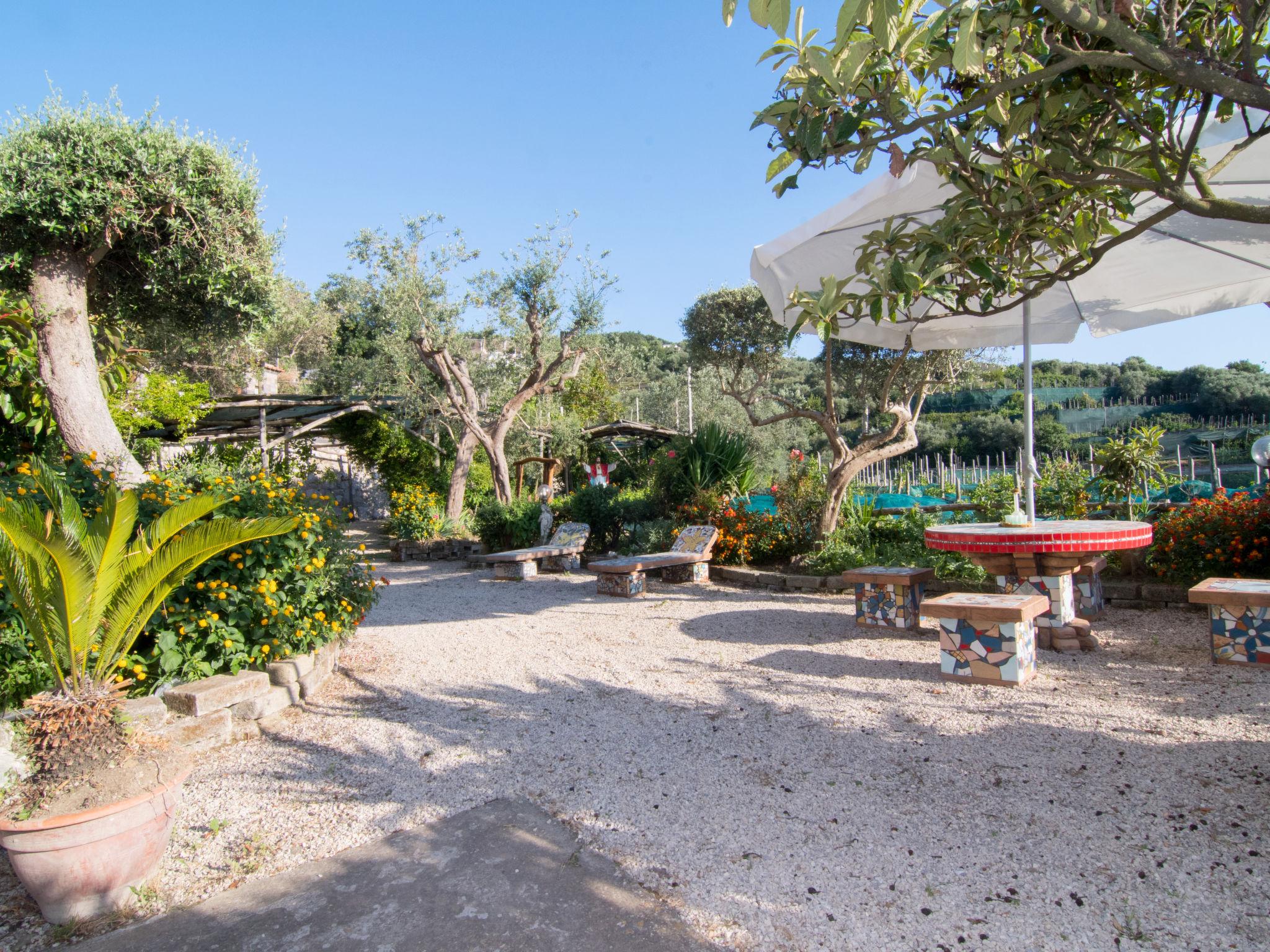 Photo 42 - Maison de 3 chambres à Massa Lubrense avec piscine privée et jardin