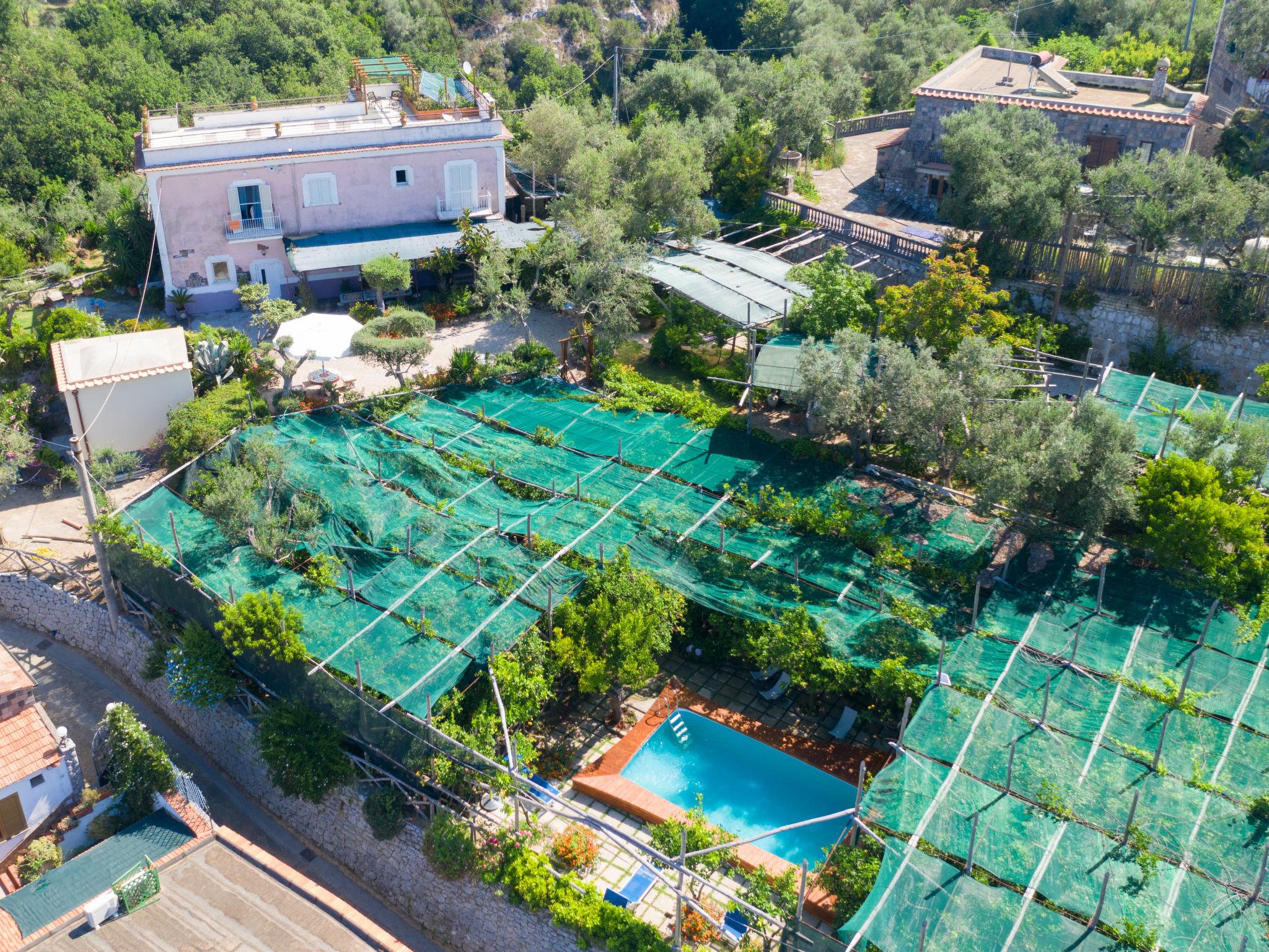 Foto 35 - Casa de 3 quartos em Massa Lubrense com piscina privada e jardim