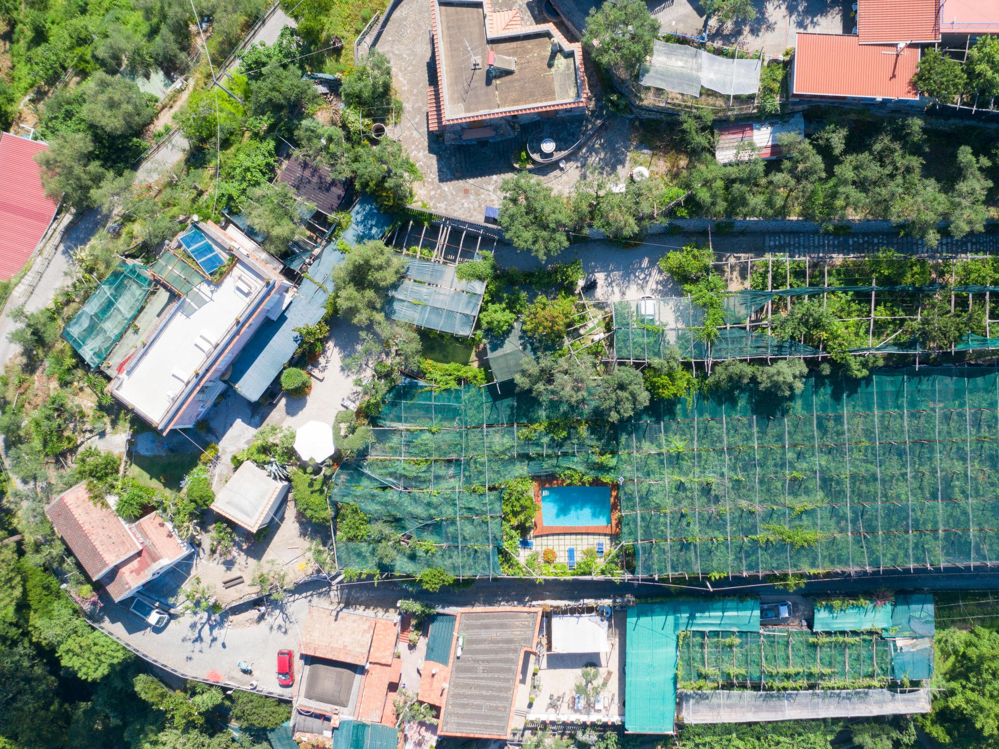 Photo 36 - Maison de 3 chambres à Massa Lubrense avec piscine privée et jardin