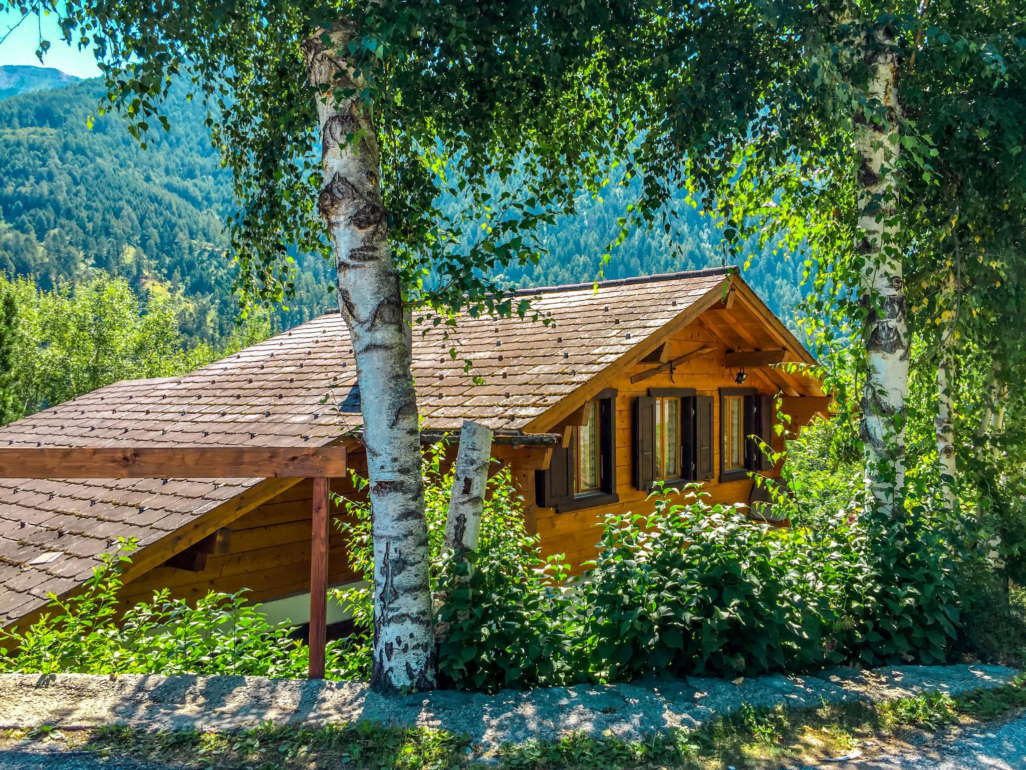 Foto 8 - Casa de 3 quartos em Nendaz com jardim e vista para a montanha