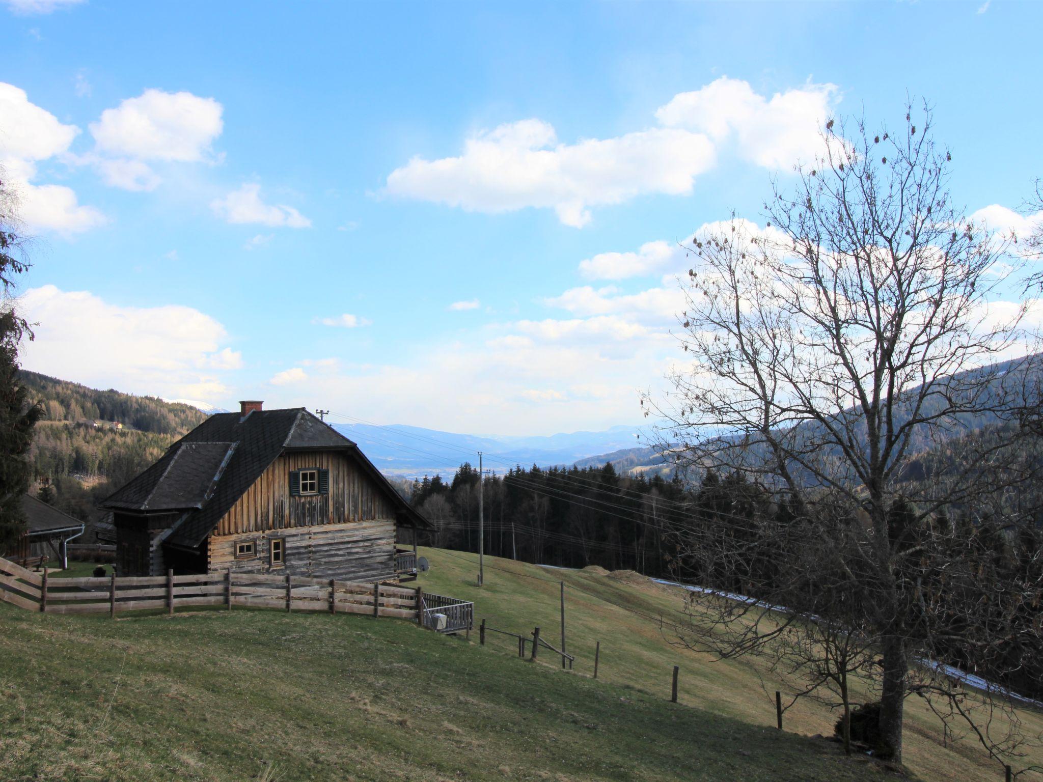 Foto 64 - Casa de 3 quartos em Wolfsberg com jardim e vista para a montanha