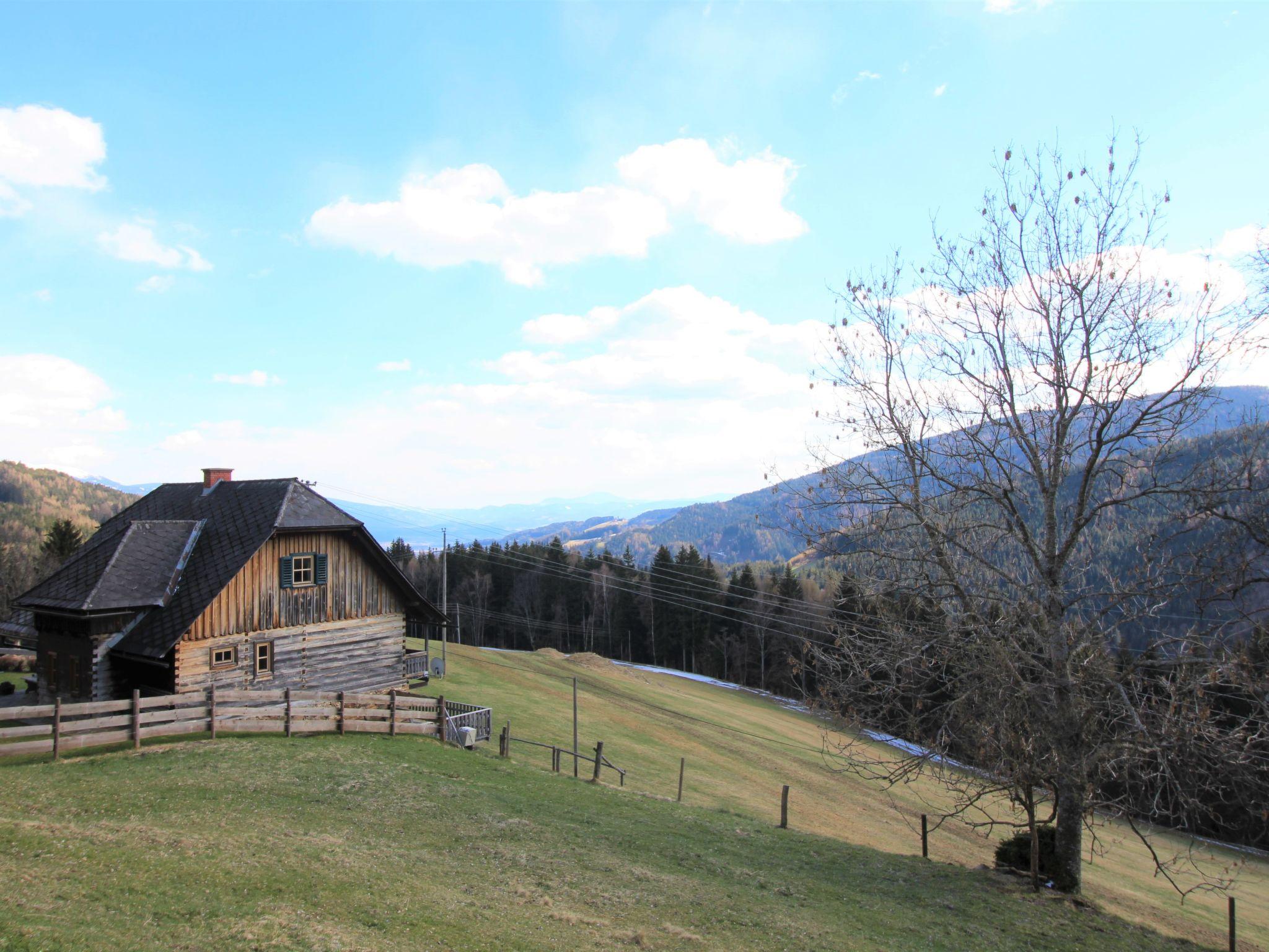Foto 62 - Casa de 3 quartos em Wolfsberg com jardim e vista para a montanha