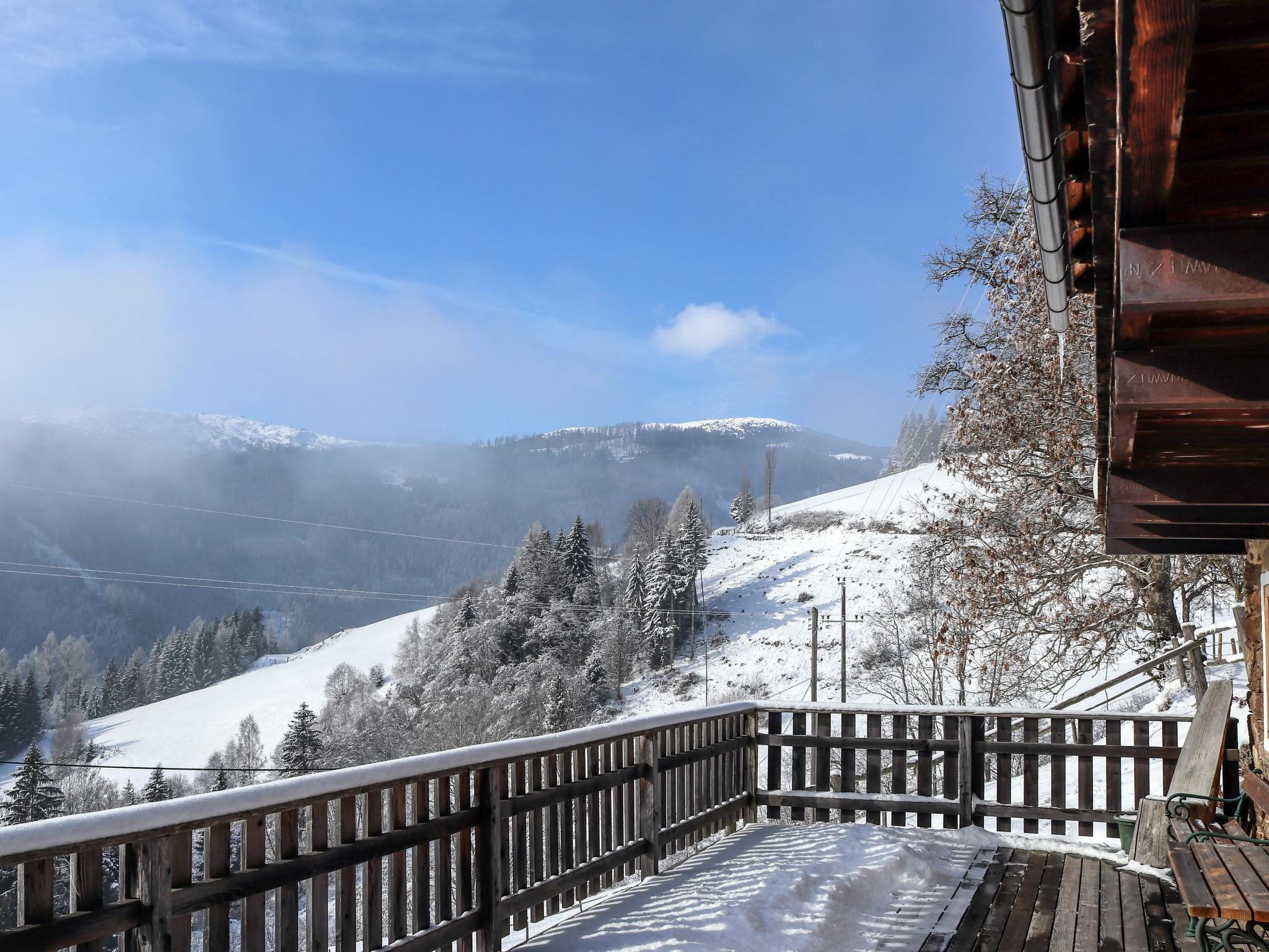 Foto 57 - Haus mit 3 Schlafzimmern in Wolfsberg mit garten und blick auf die berge