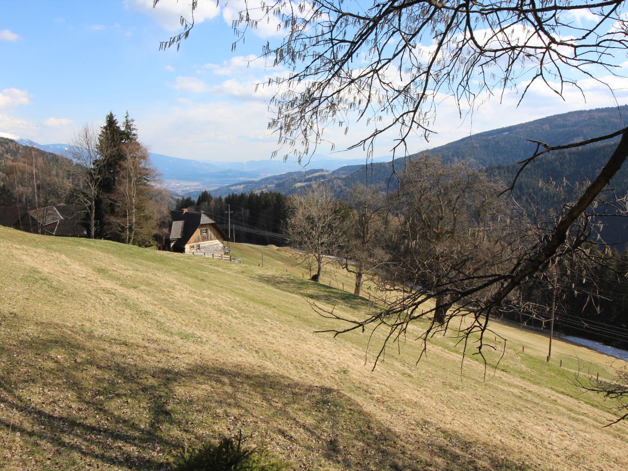 Photo 49 - Maison de 3 chambres à Wolfsberg avec jardin et vues sur la montagne