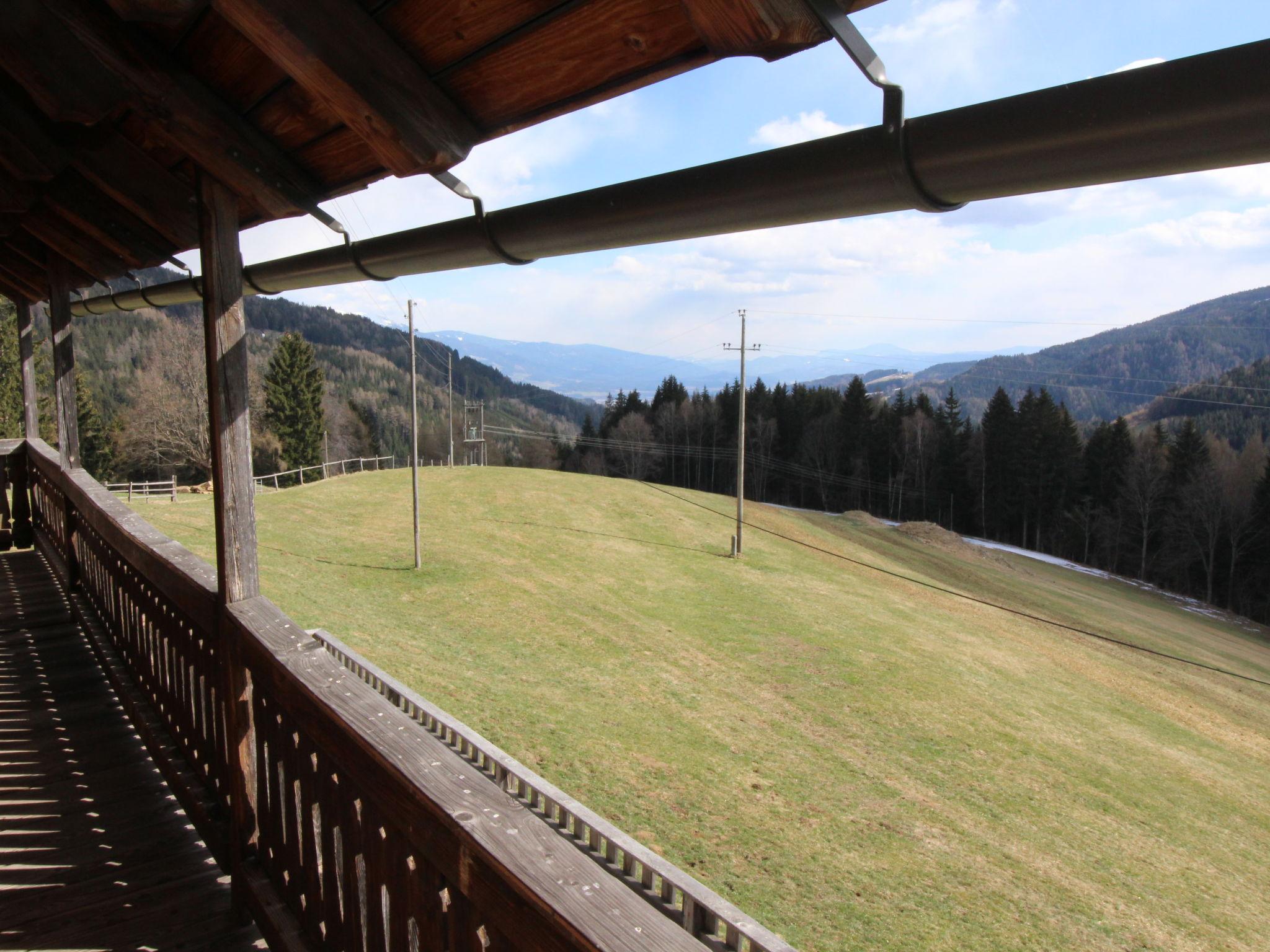 Foto 46 - Casa con 3 camere da letto a Wolfsberg con giardino e vista sulle montagne