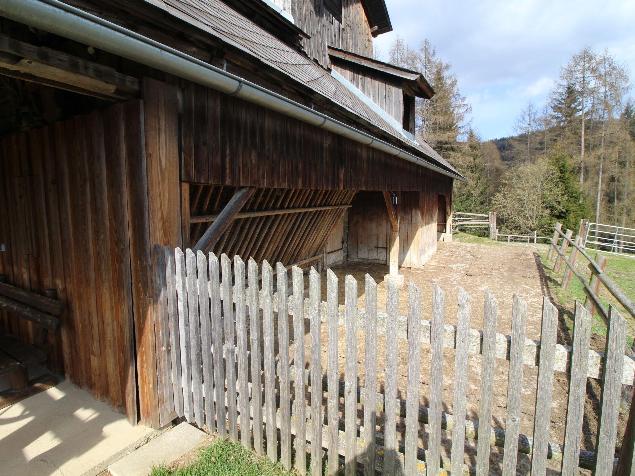 Foto 60 - Casa de 3 quartos em Wolfsberg com jardim e terraço