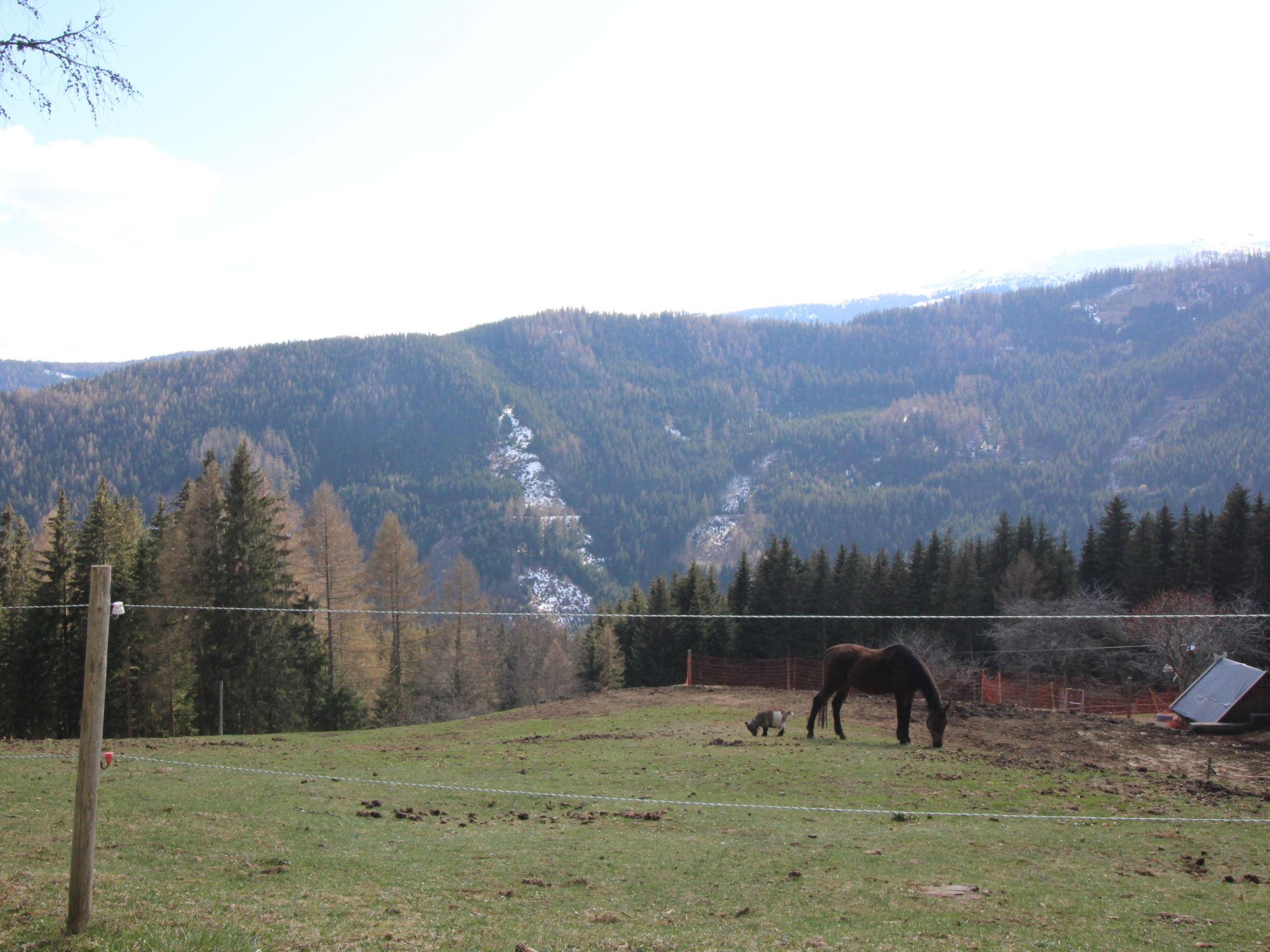 Foto 53 - Haus mit 3 Schlafzimmern in Wolfsberg mit garten und blick auf die berge