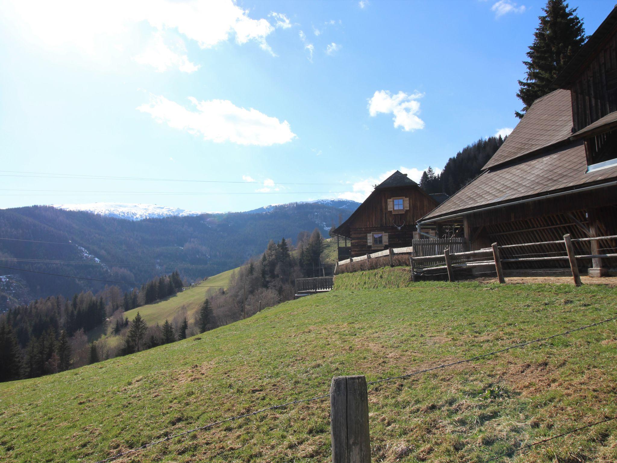 Foto 65 - Casa de 3 habitaciones en Wolfsberg con jardín y vistas a la montaña