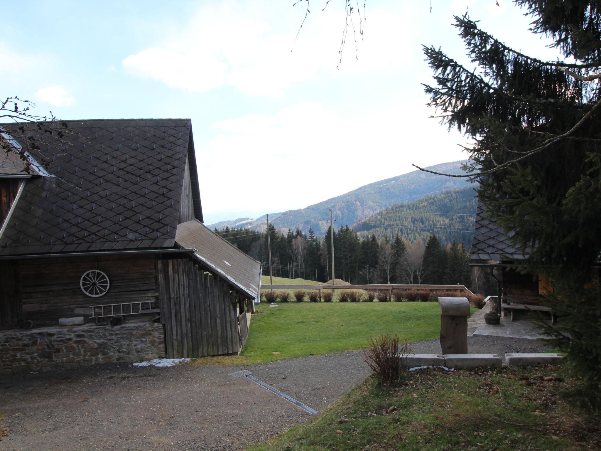 Photo 66 - 3 bedroom House in Wolfsberg with garden and mountain view