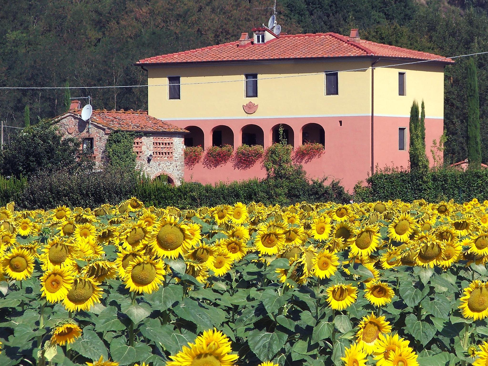 Foto 19 - Casa de 1 habitación en Laterina Pergine Valdarno con piscina y jardín