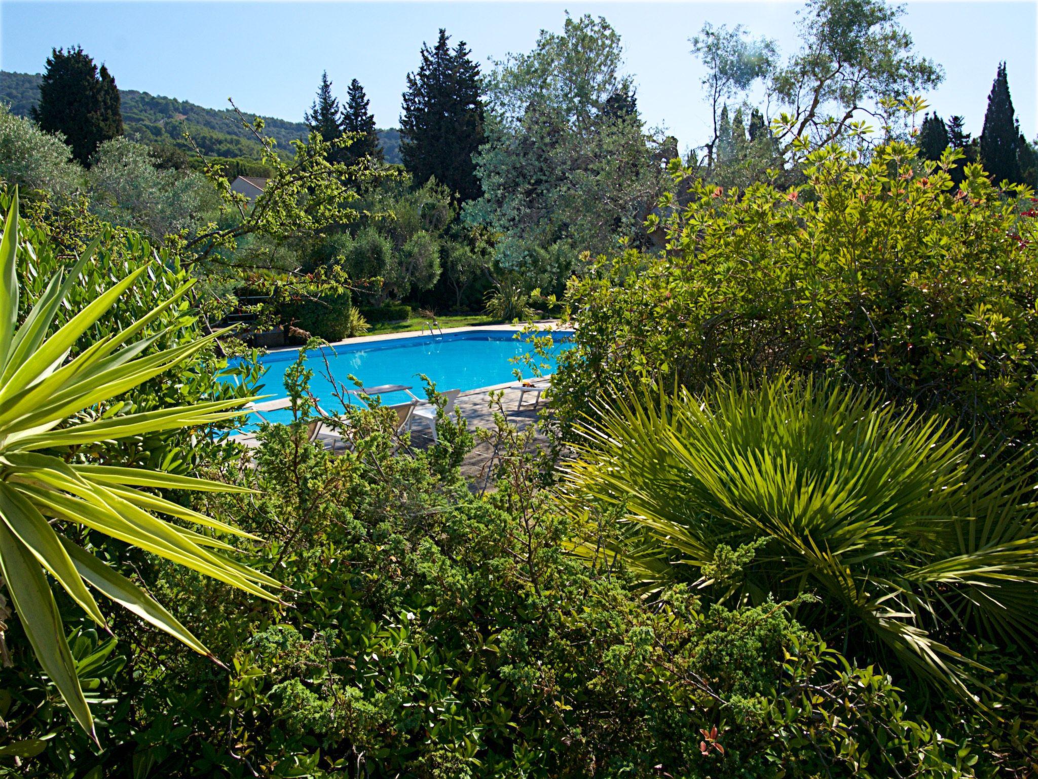 Foto 43 - Apartment mit 2 Schlafzimmern in Castiglione della Pescaia mit schwimmbad und garten