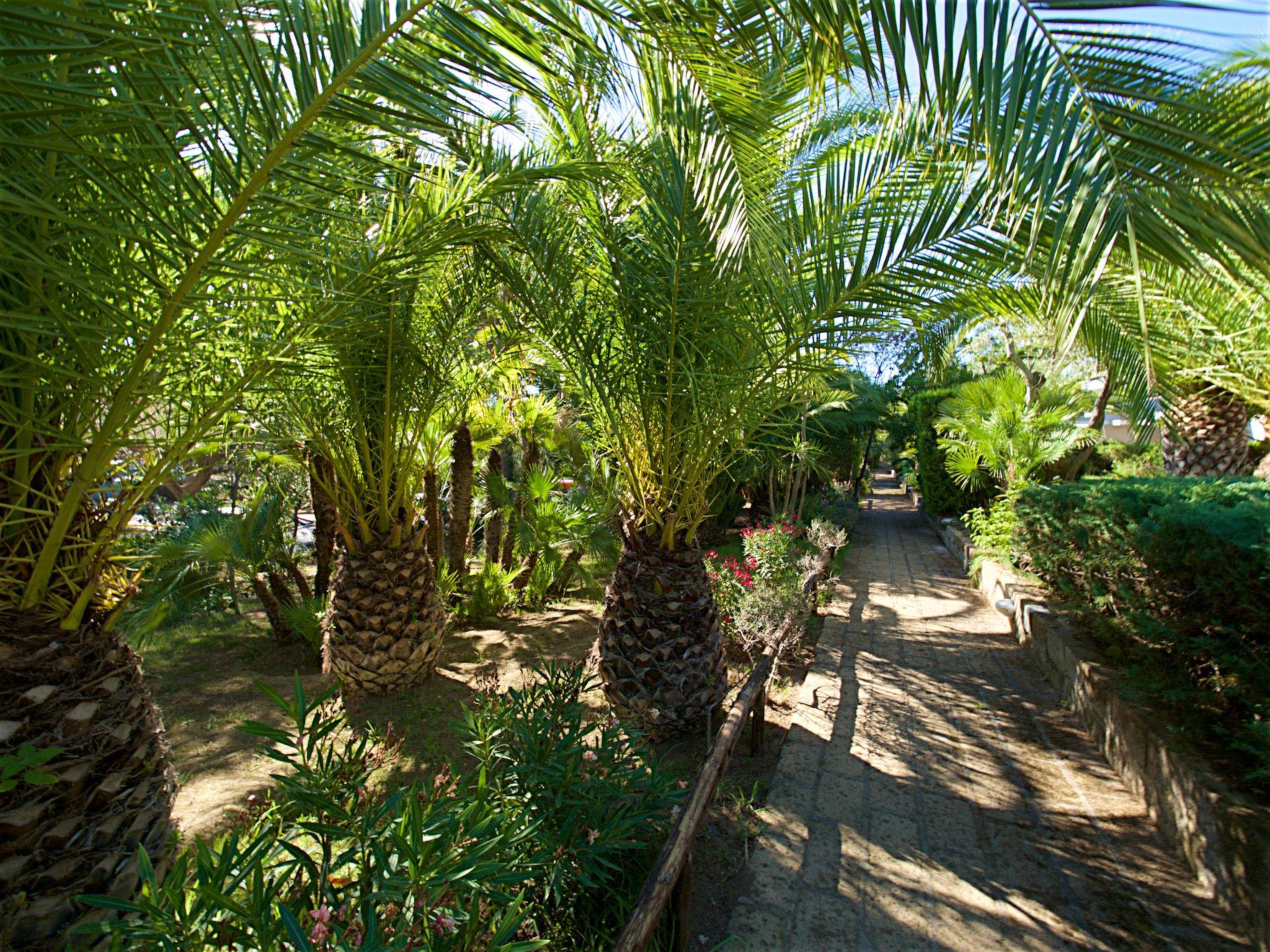 Photo 28 - Maison de 1 chambre à Castiglione della Pescaia avec piscine et jardin