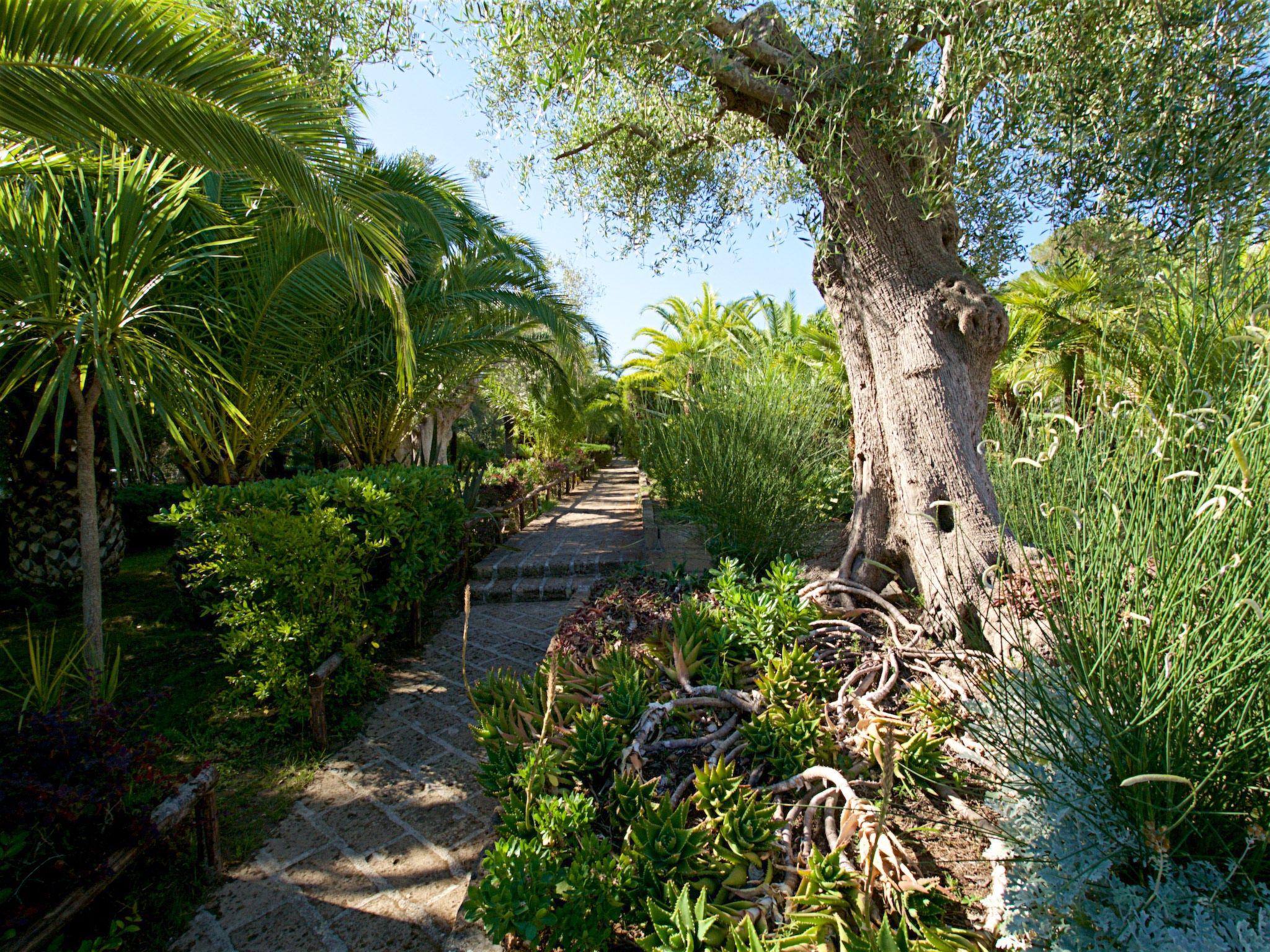 Photo 39 - 2 bedroom Apartment in Castiglione della Pescaia with swimming pool and garden