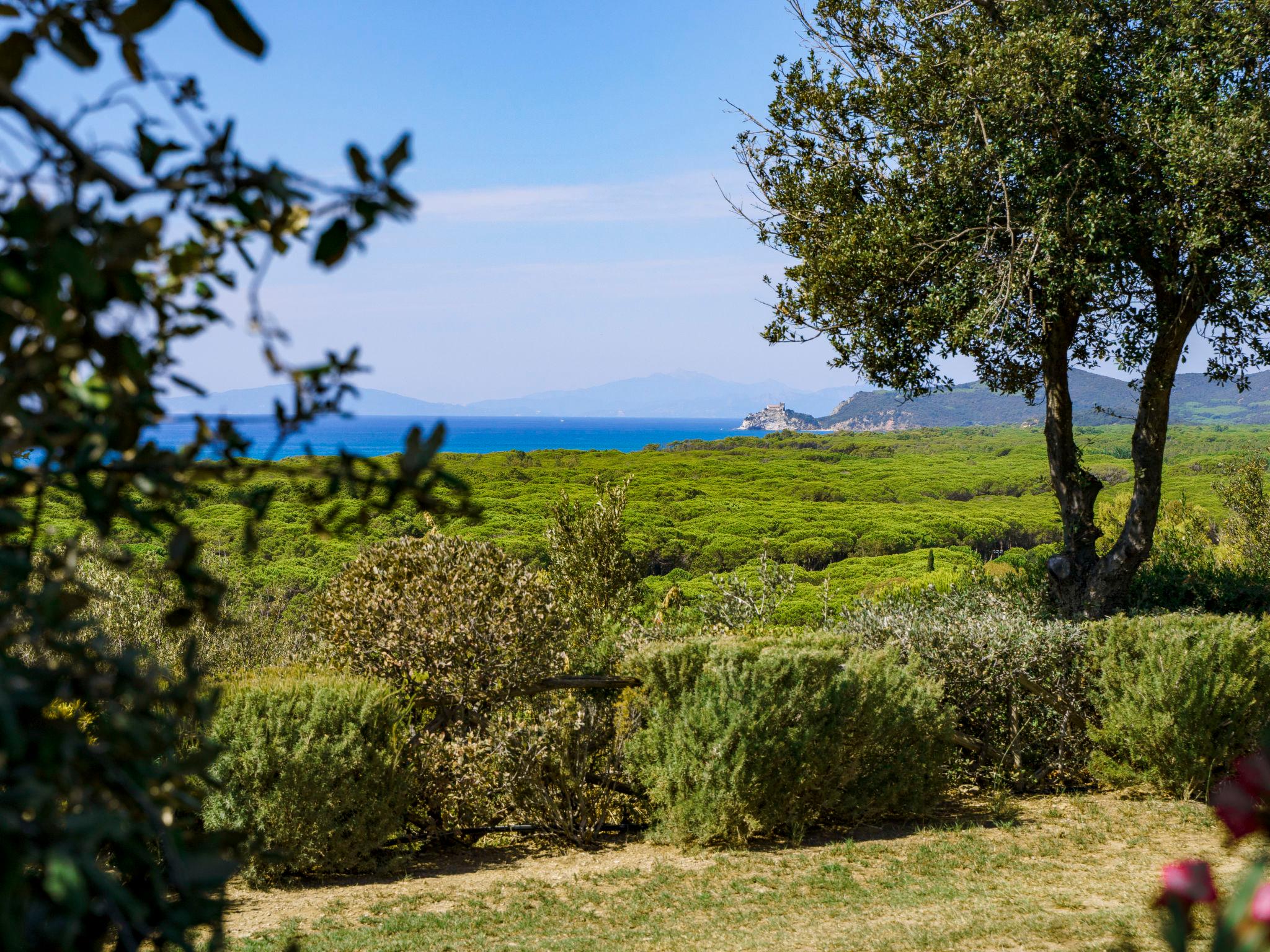 Foto 35 - Apartamento de 2 quartos em Castiglione della Pescaia com piscina e jardim