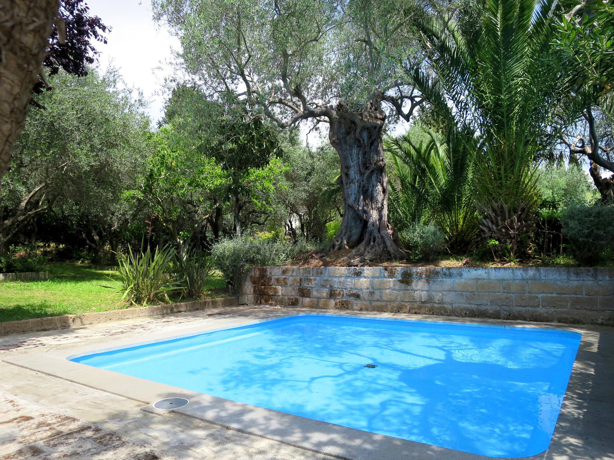 Foto 19 - Casa con 1 camera da letto a Castiglione della Pescaia con piscina e giardino