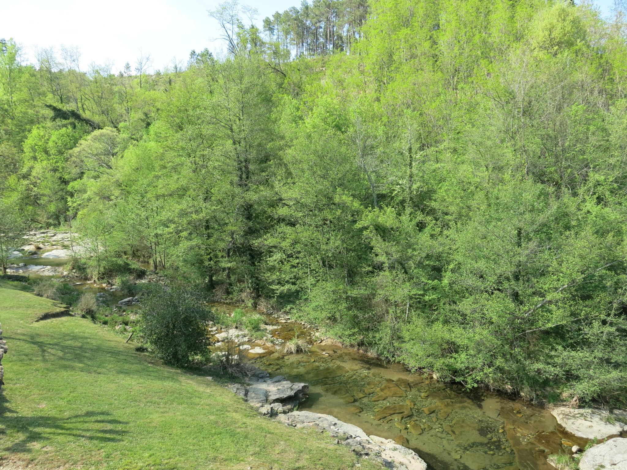 Foto 4 - Haus mit 2 Schlafzimmern in Saint-Genest-de-Beauzon mit privater pool und garten