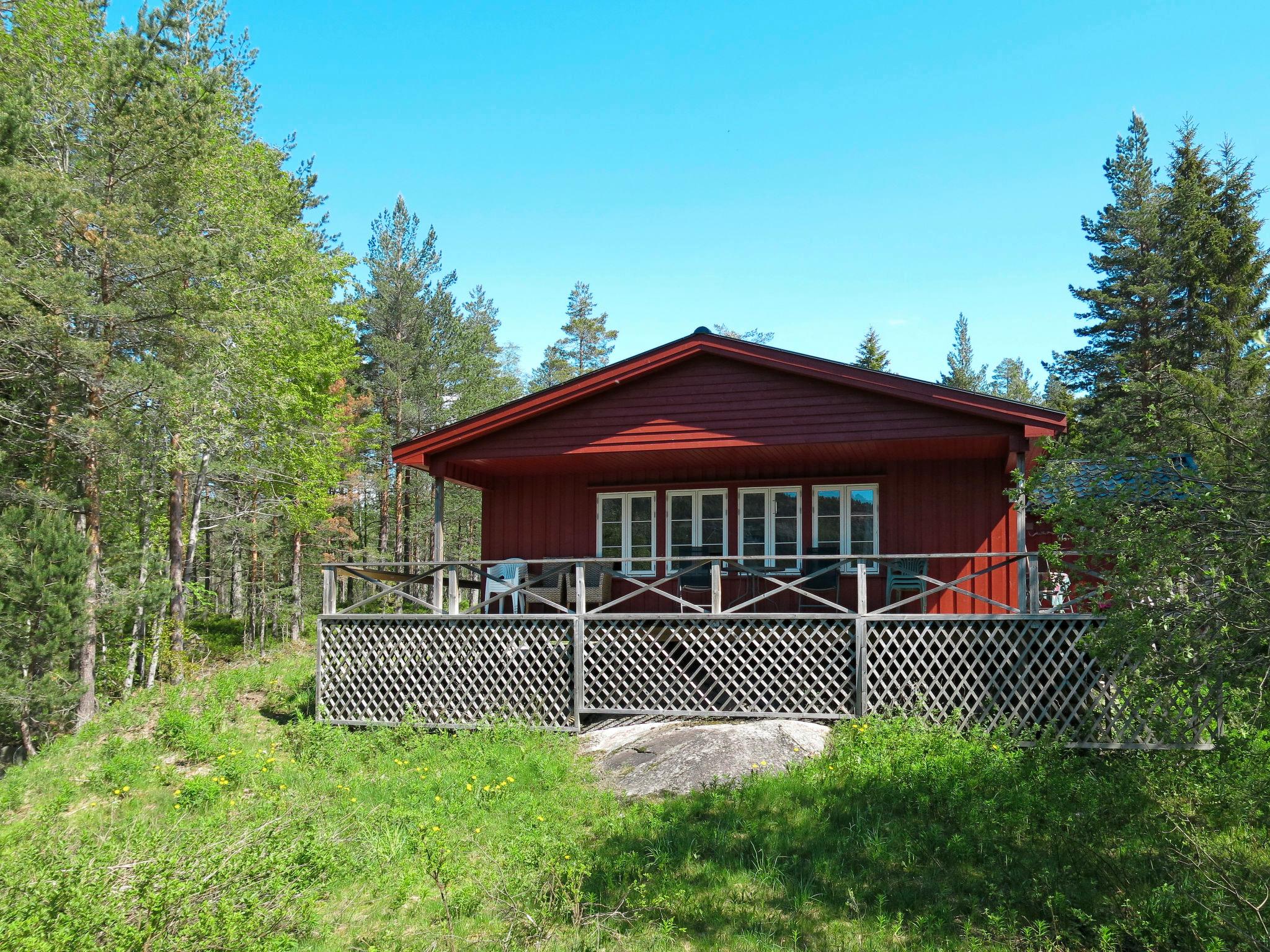 Foto 6 - Casa de 2 quartos em Nissedal com terraço