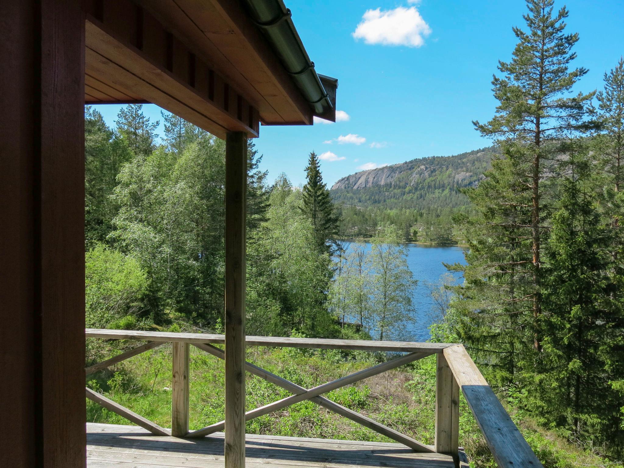 Foto 7 - Casa de 2 quartos em Nissedal com terraço