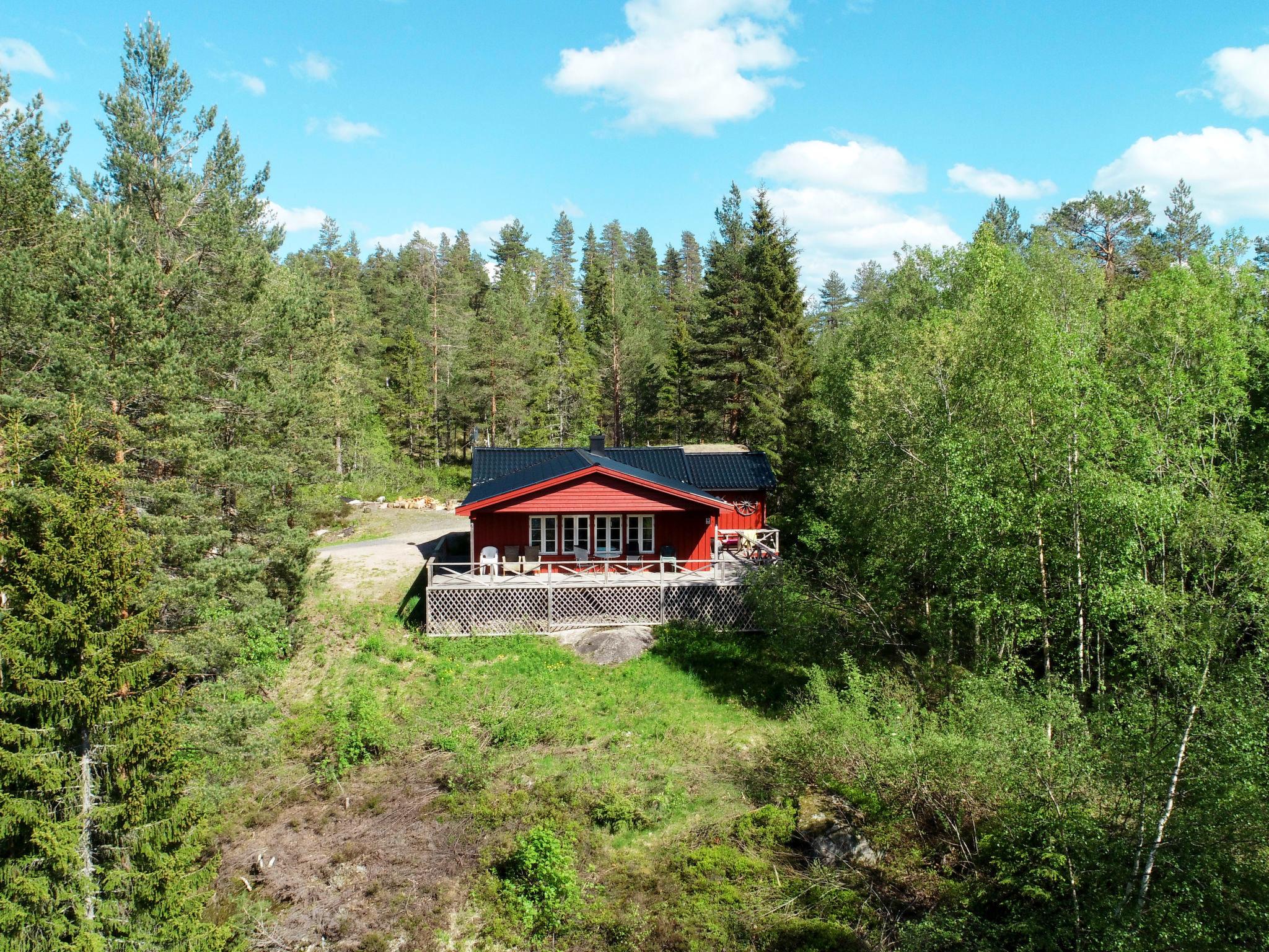 Foto 1 - Haus mit 3 Schlafzimmern in Nissedal mit terrasse