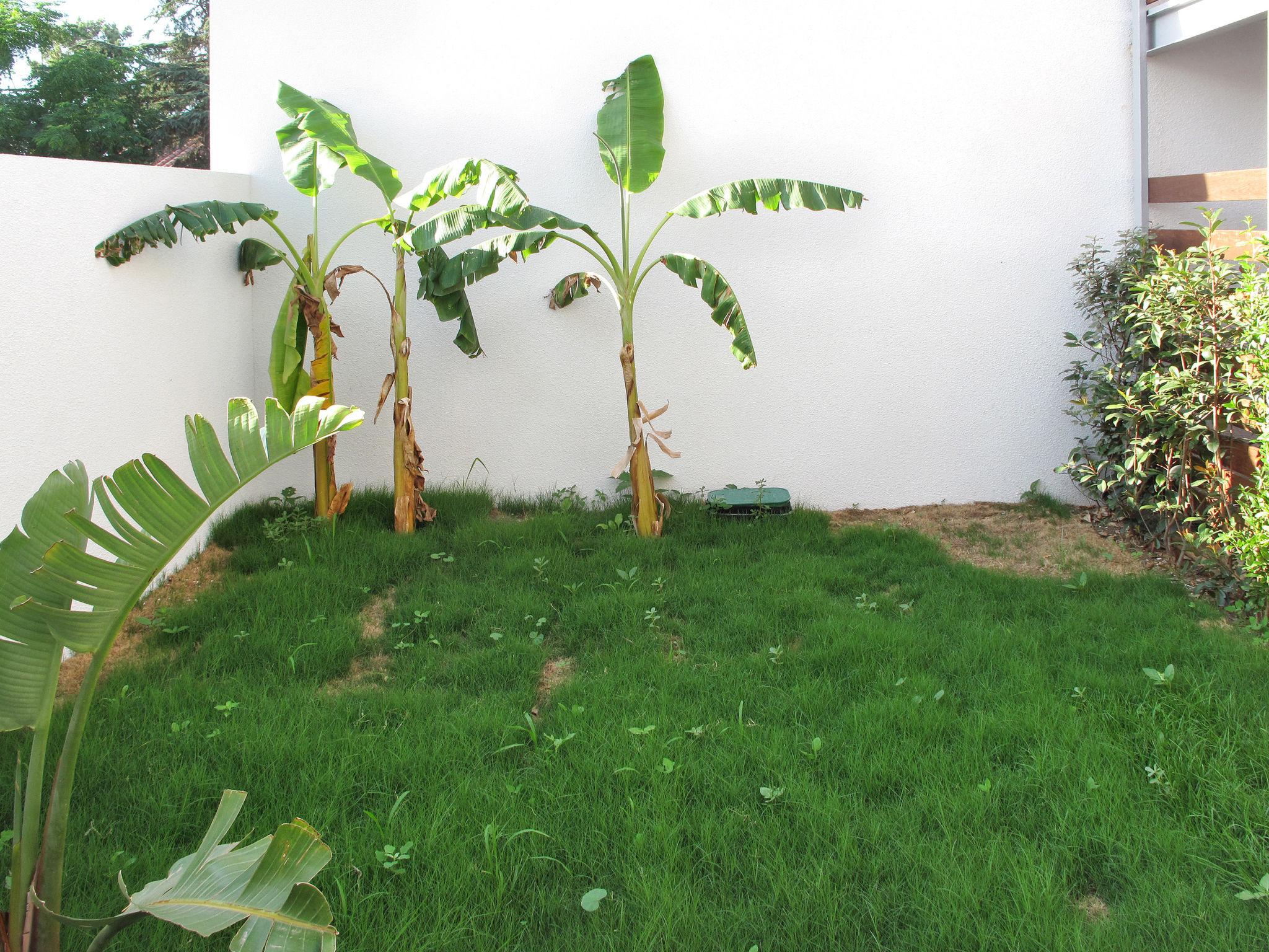 Foto 17 - Appartamento con 2 camere da letto a Argelès-sur-Mer con piscina e giardino