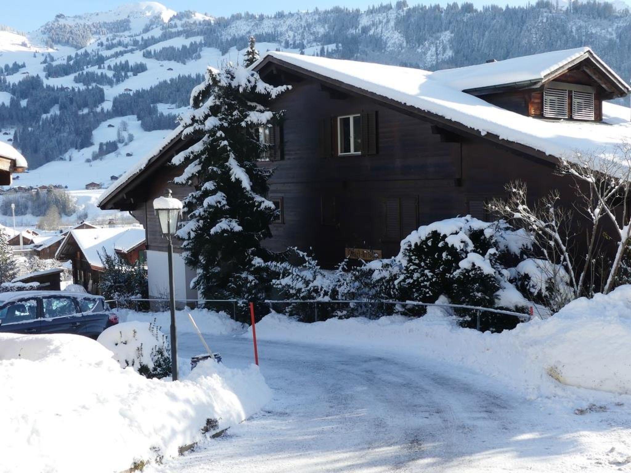 Foto 5 - Apartamento de 2 quartos em Zweisimmen