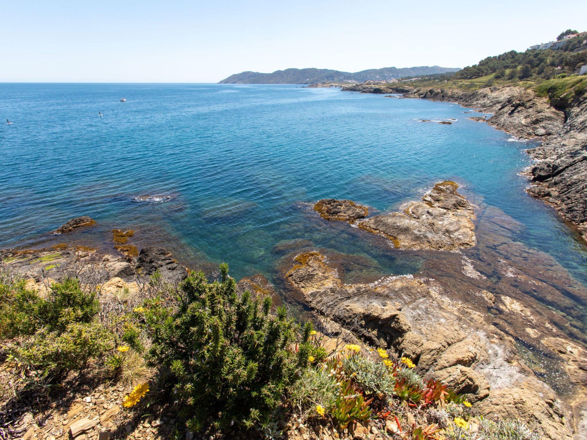 Photo 24 - 4 bedroom House in Llançà with private pool and sea view