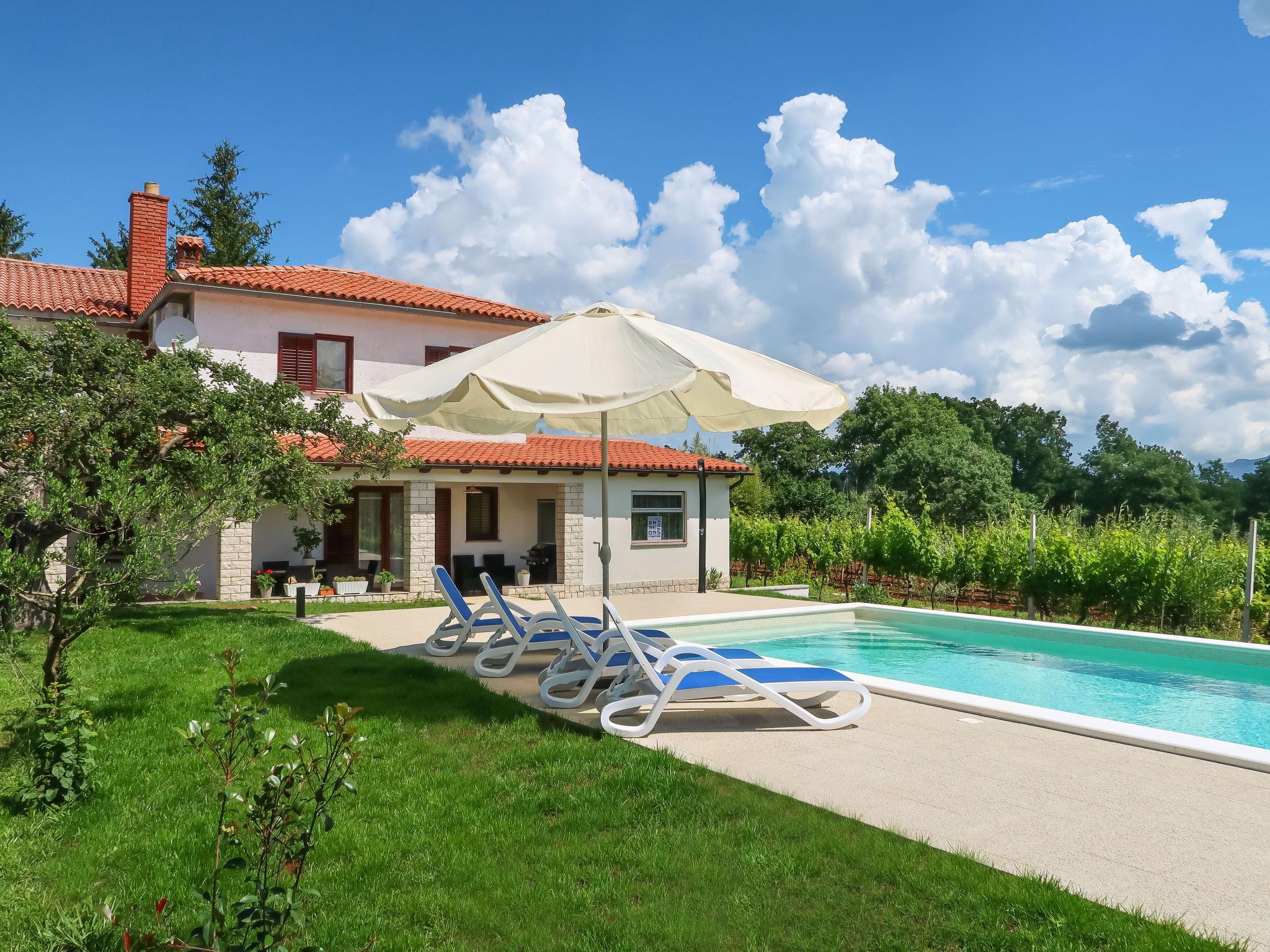 Foto 1 - Casa con 2 camere da letto a Raša con piscina privata e vista mare