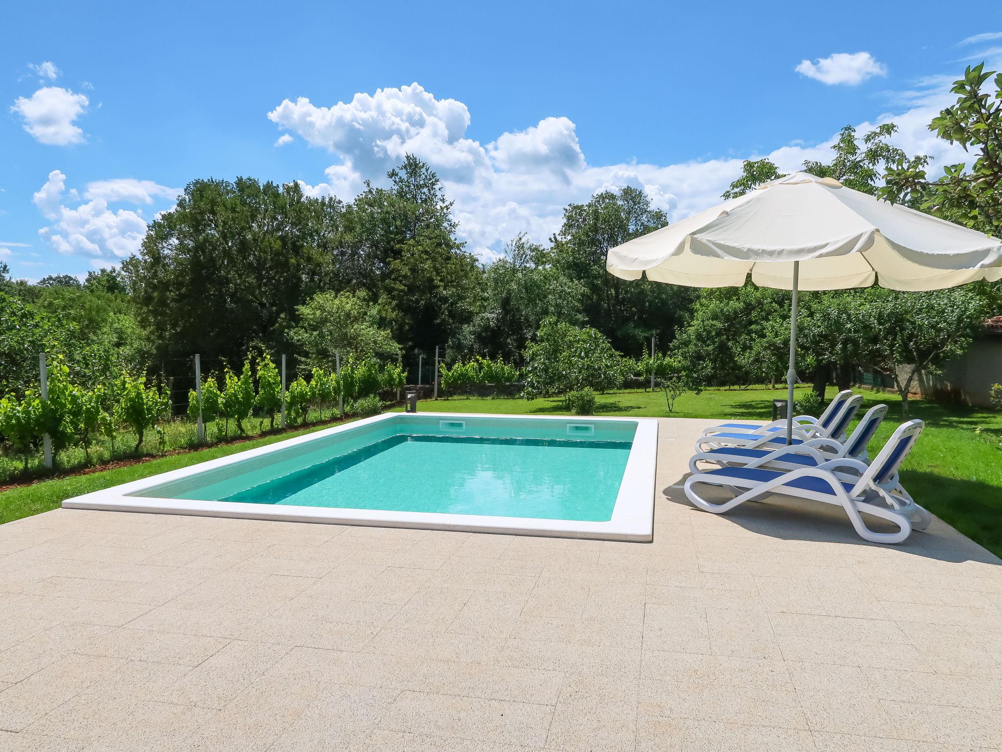 Photo 11 - Maison de 2 chambres à Raša avec piscine privée et jardin