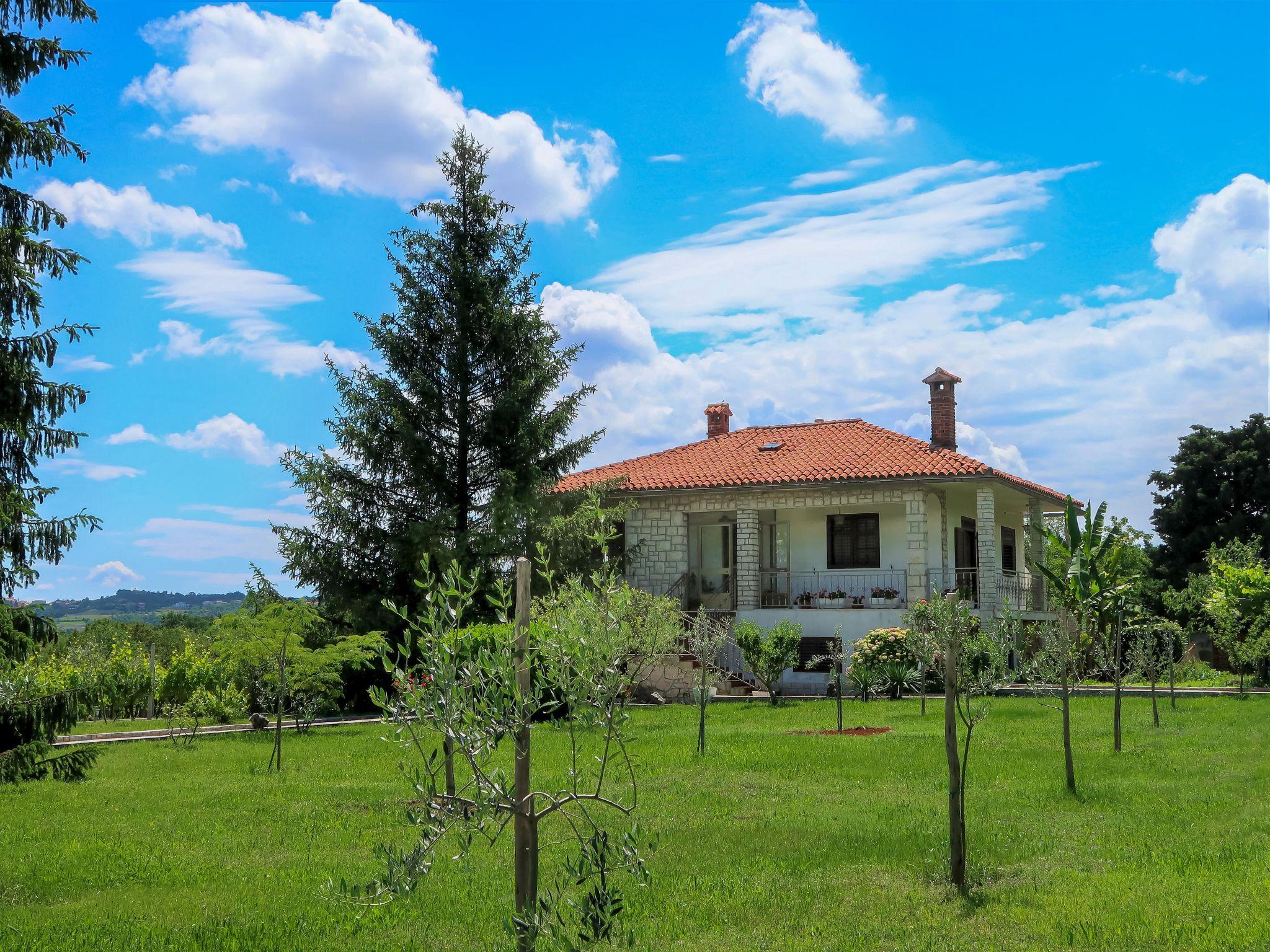 Foto 20 - Casa de 2 quartos em Raša com piscina privada e jardim