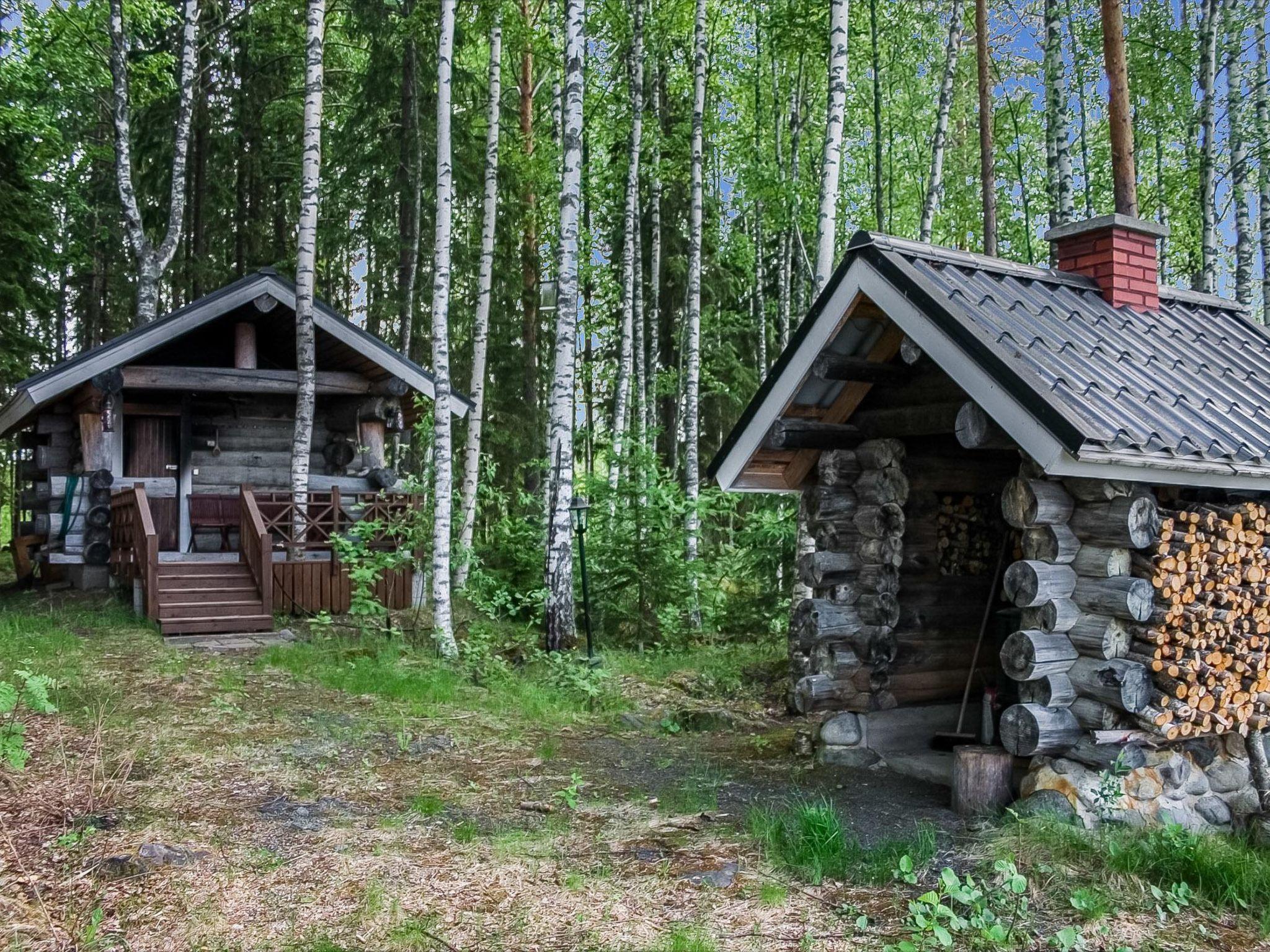 Foto 25 - Casa de 1 habitación en Tohmajärvi con sauna