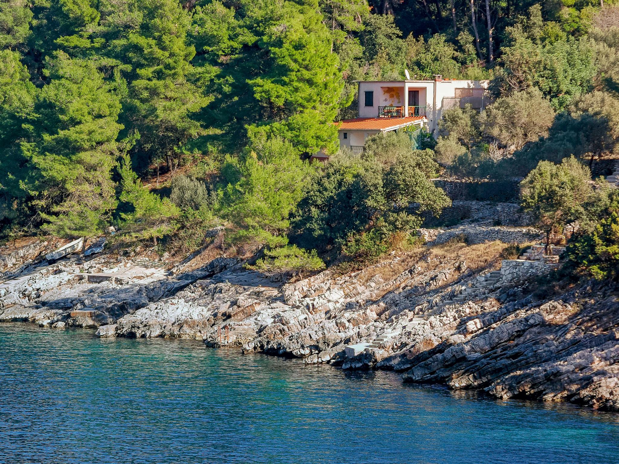 Foto 1 - Appartamento con 1 camera da letto a Blato con terrazza e vista mare