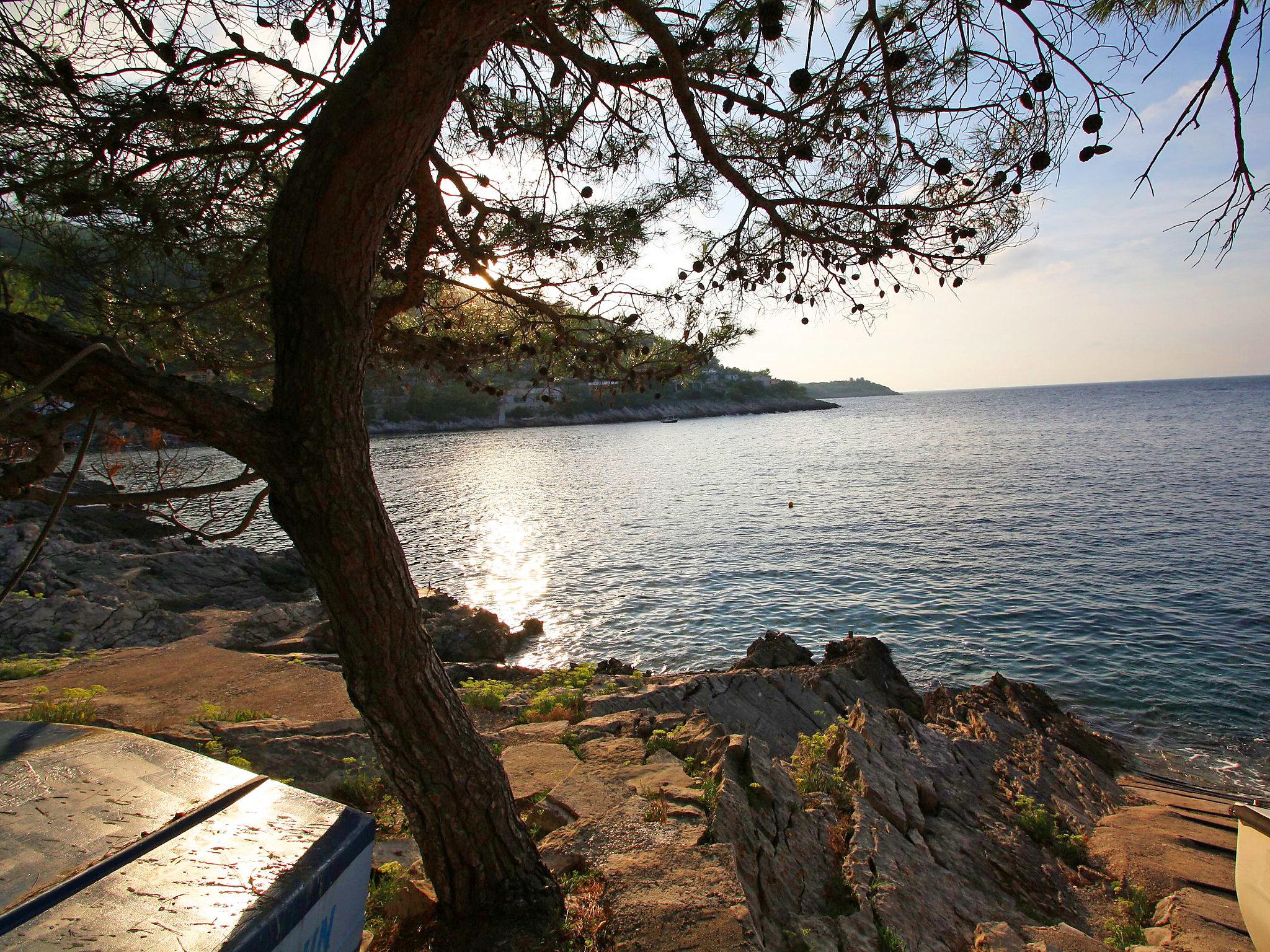 Photo 15 - Appartement de 1 chambre à Blato avec terrasse et vues à la mer