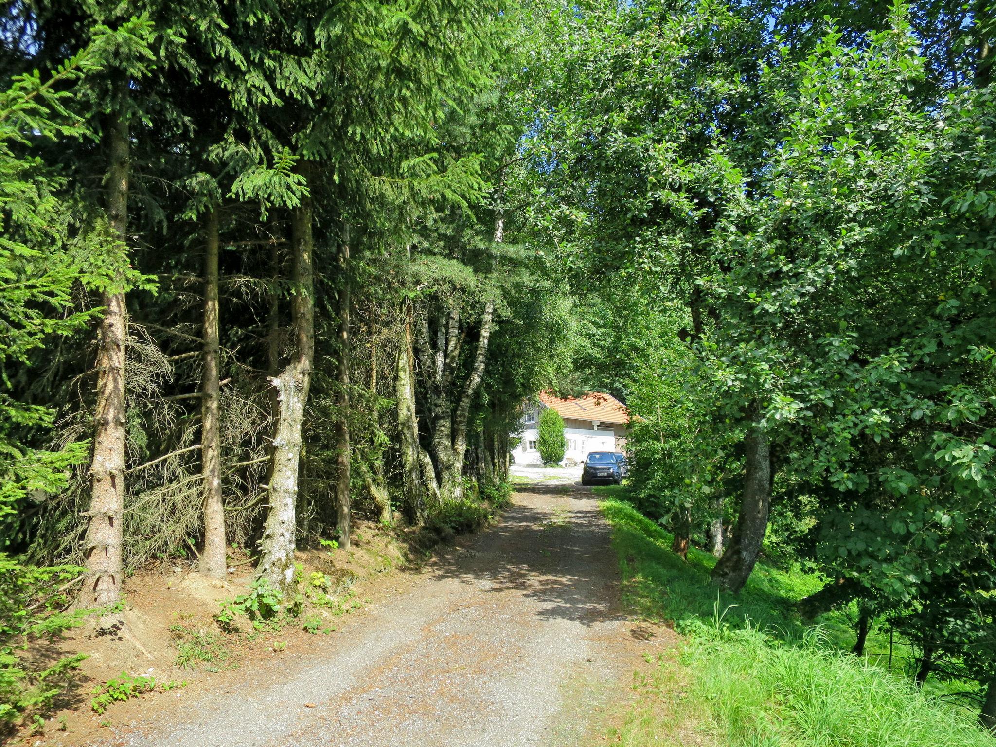 Photo 26 - Maison de 2 chambres à Schaufling avec jardin et vues sur la montagne