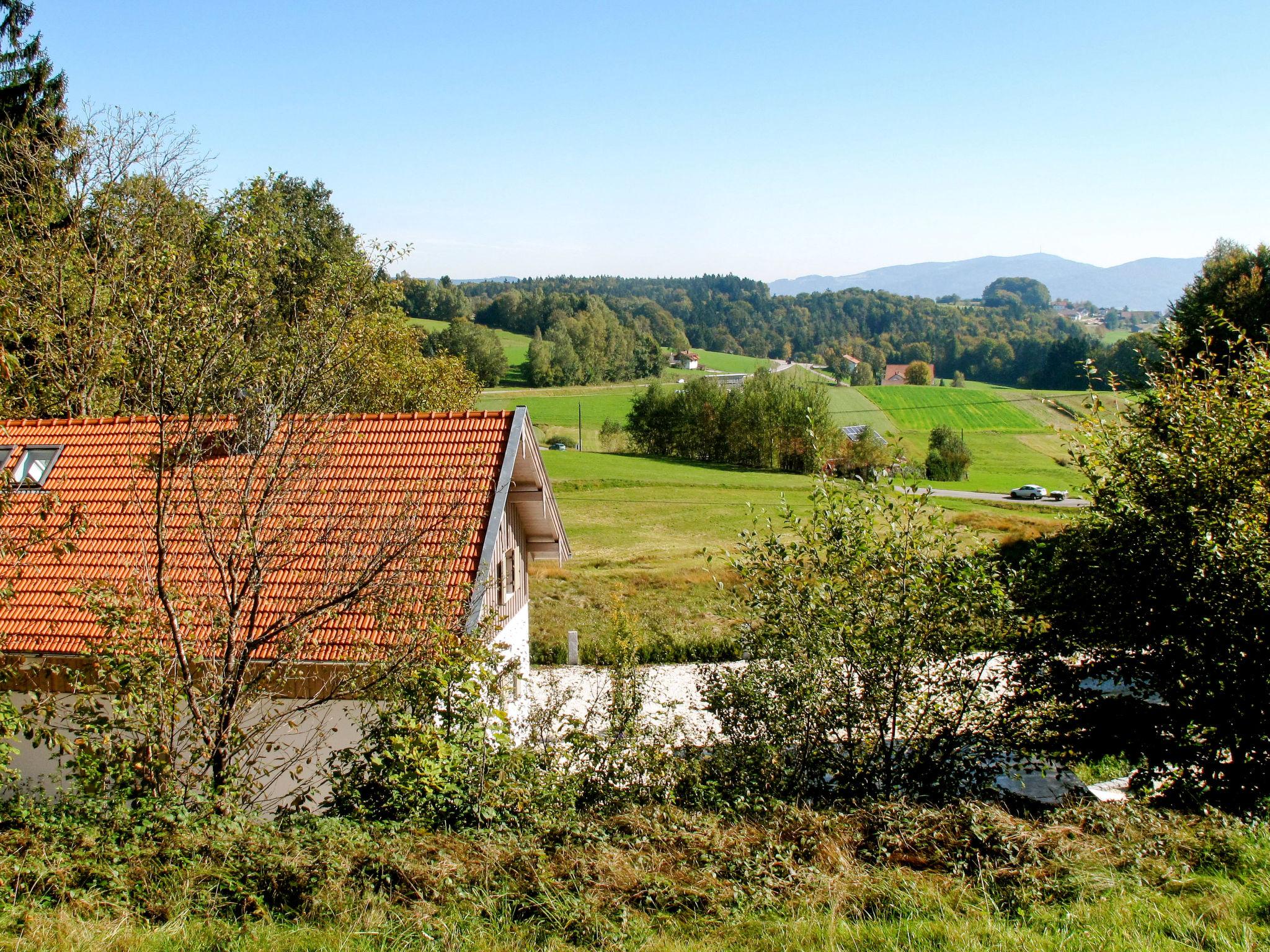 Photo 29 - Maison de 2 chambres à Schaufling avec jardin et vues sur la montagne