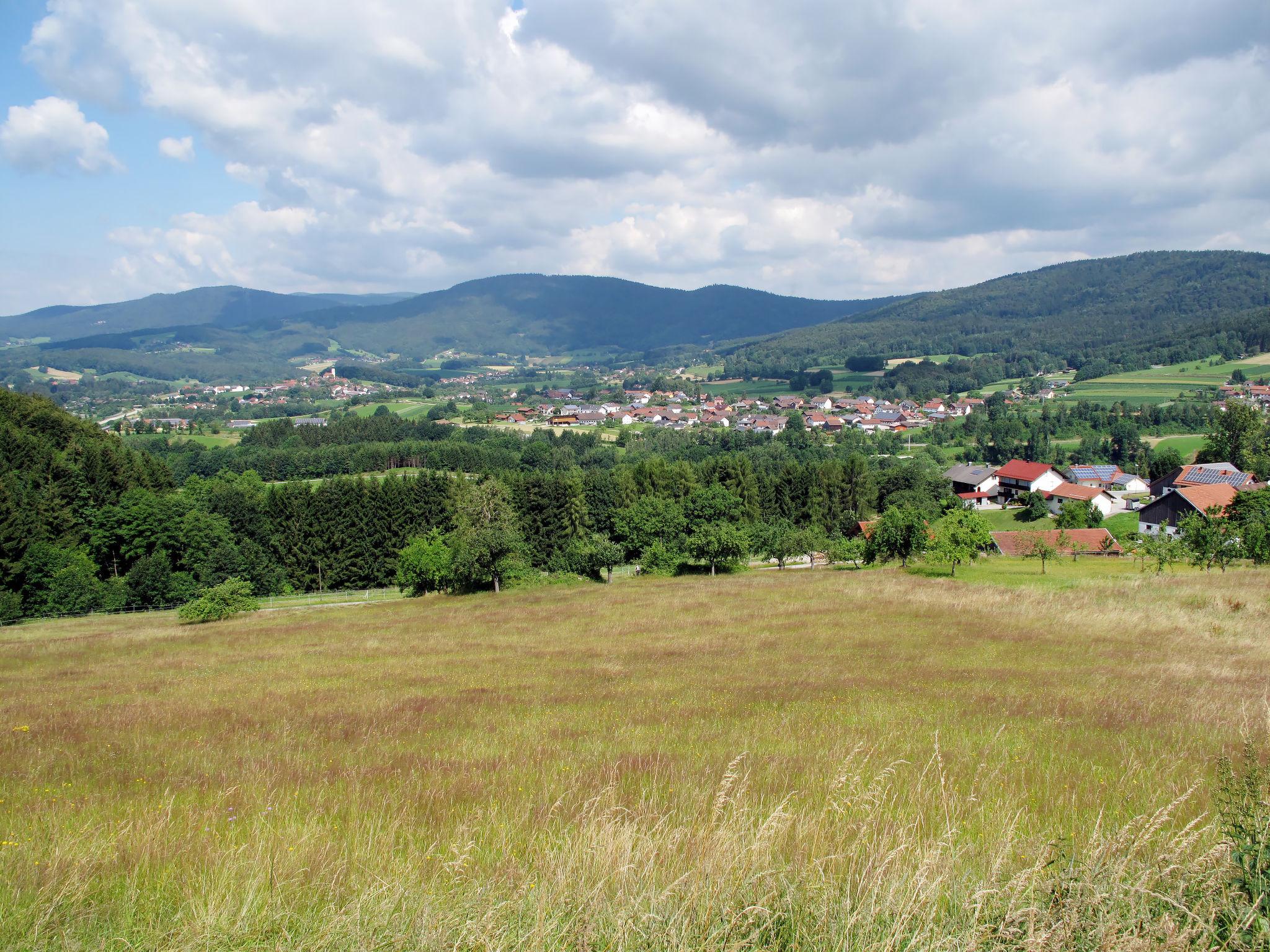 Photo 35 - Maison de 2 chambres à Schaufling avec jardin et vues sur la montagne