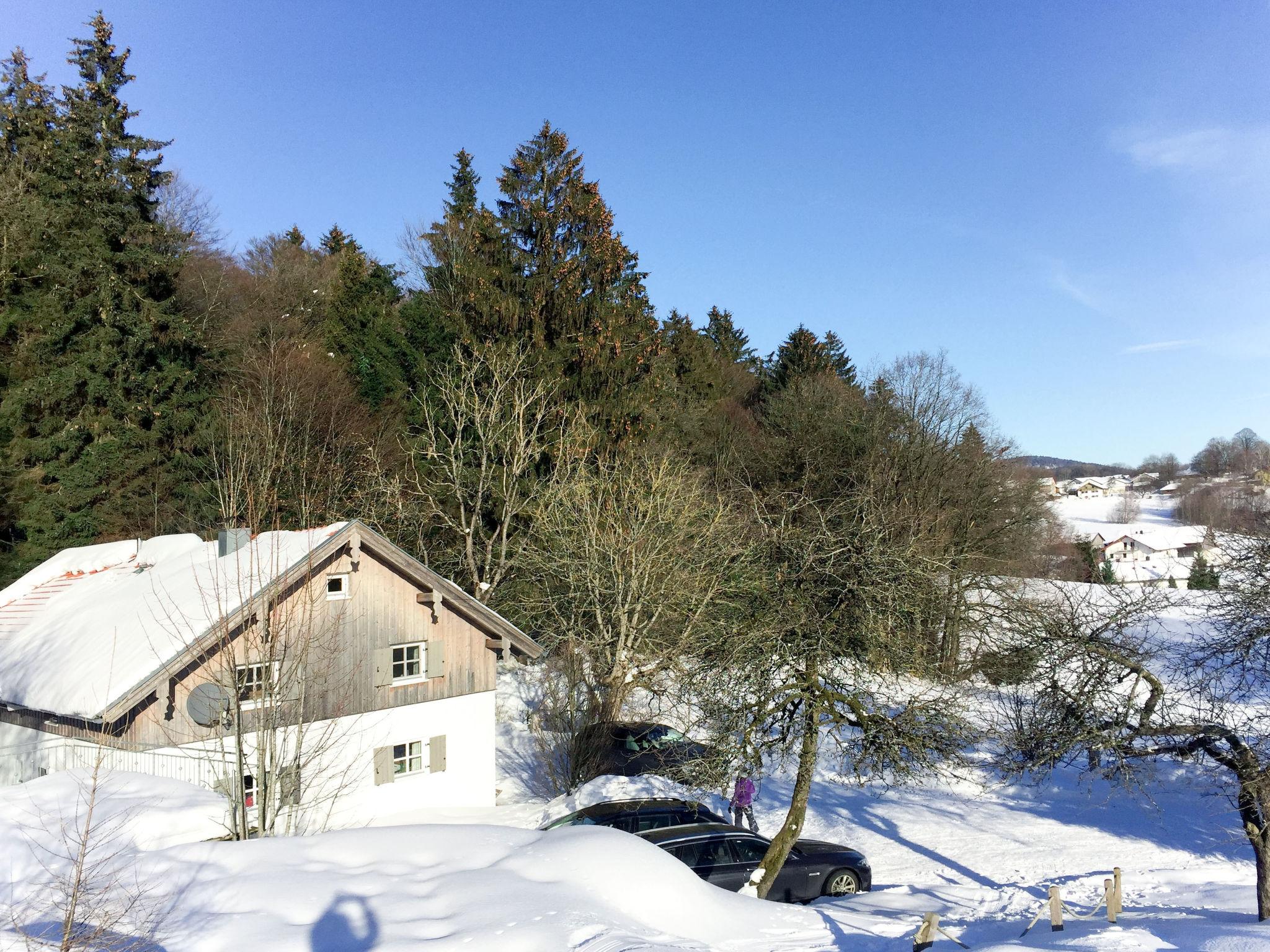 Photo 33 - Maison de 2 chambres à Schaufling avec jardin et vues sur la montagne