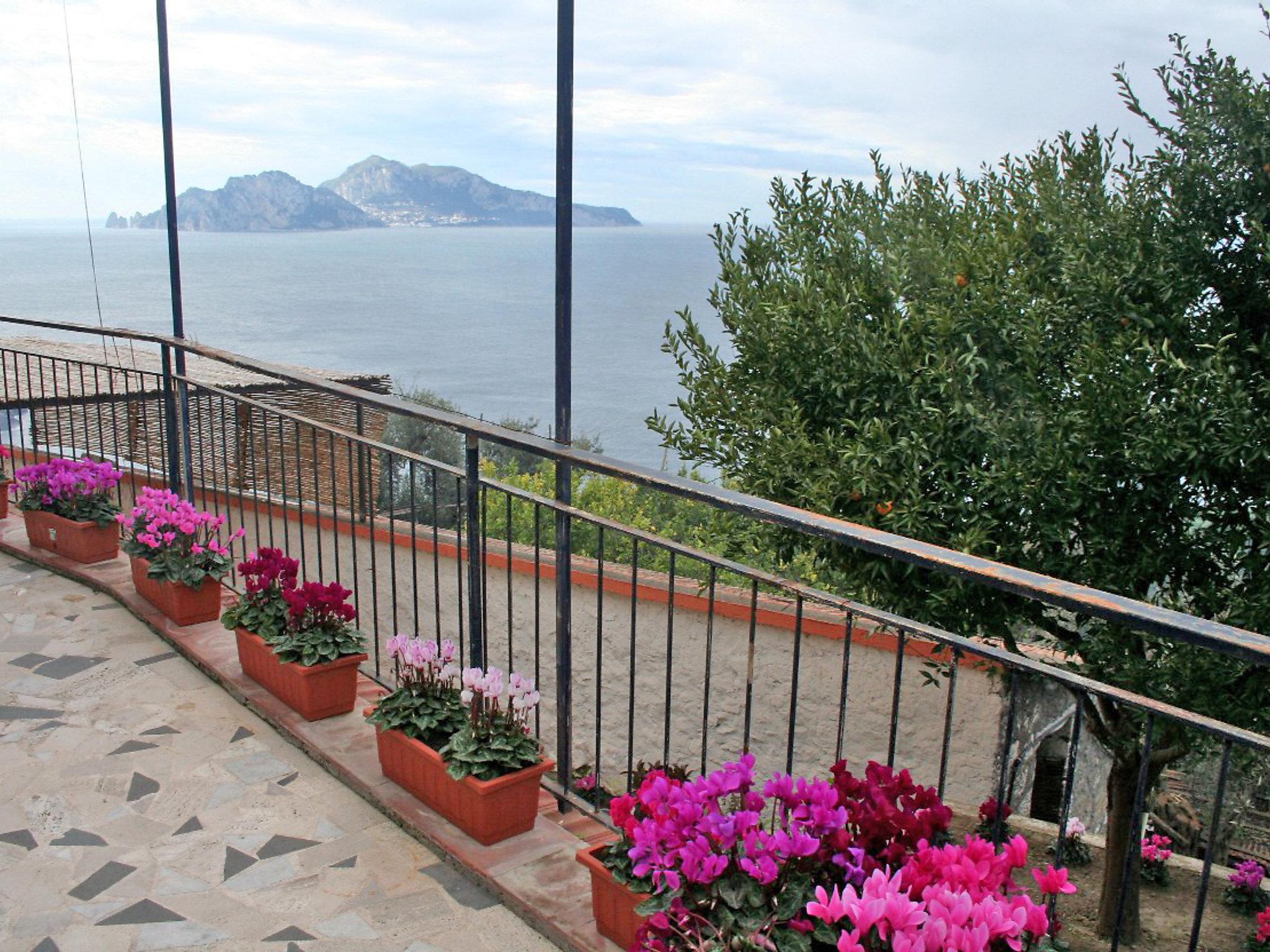 Photo 2 - 2 bedroom Apartment in Massa Lubrense with garden and sea view