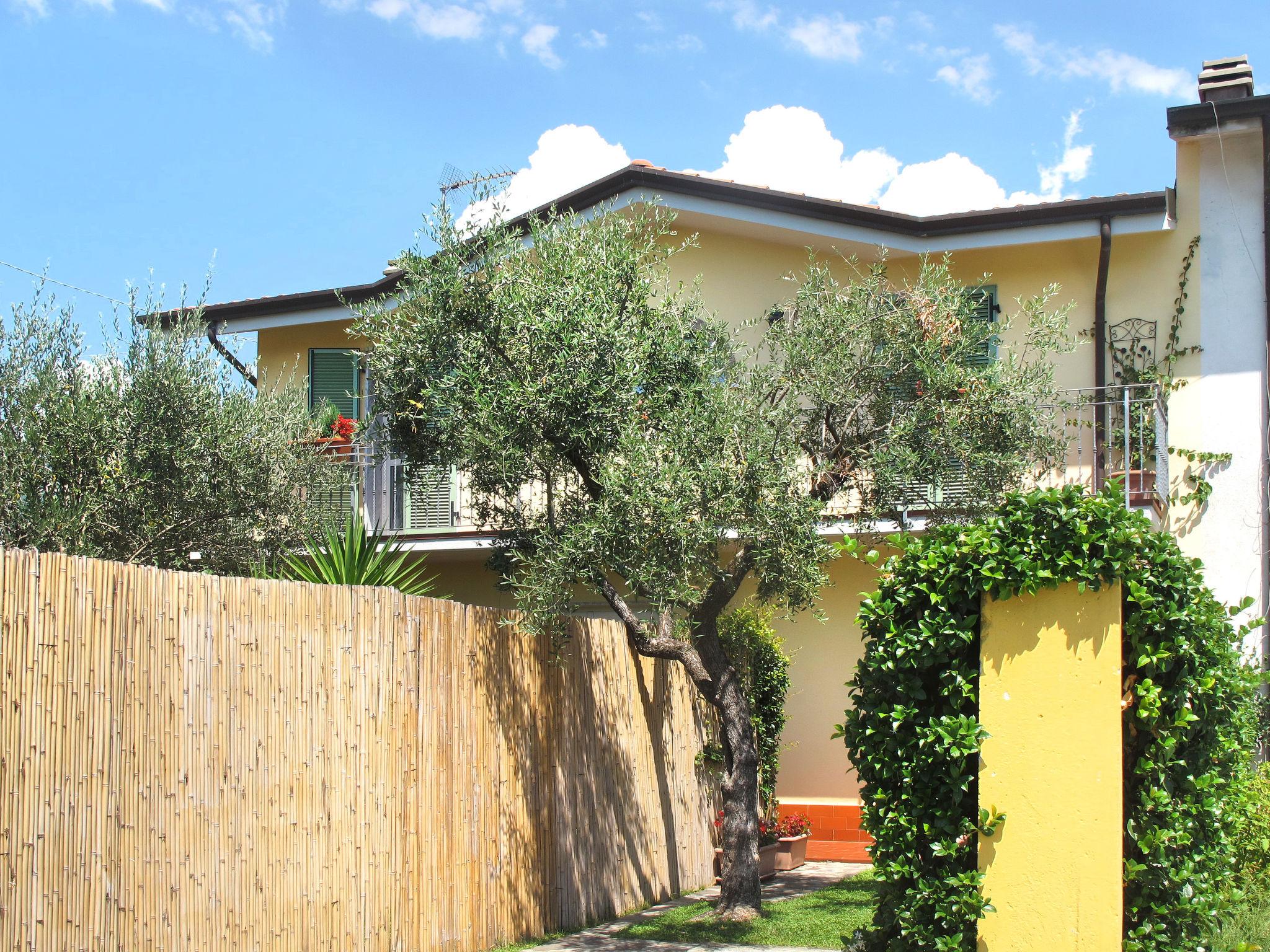 Photo 25 - Maison de 2 chambres à Massa avec terrasse et vues à la mer