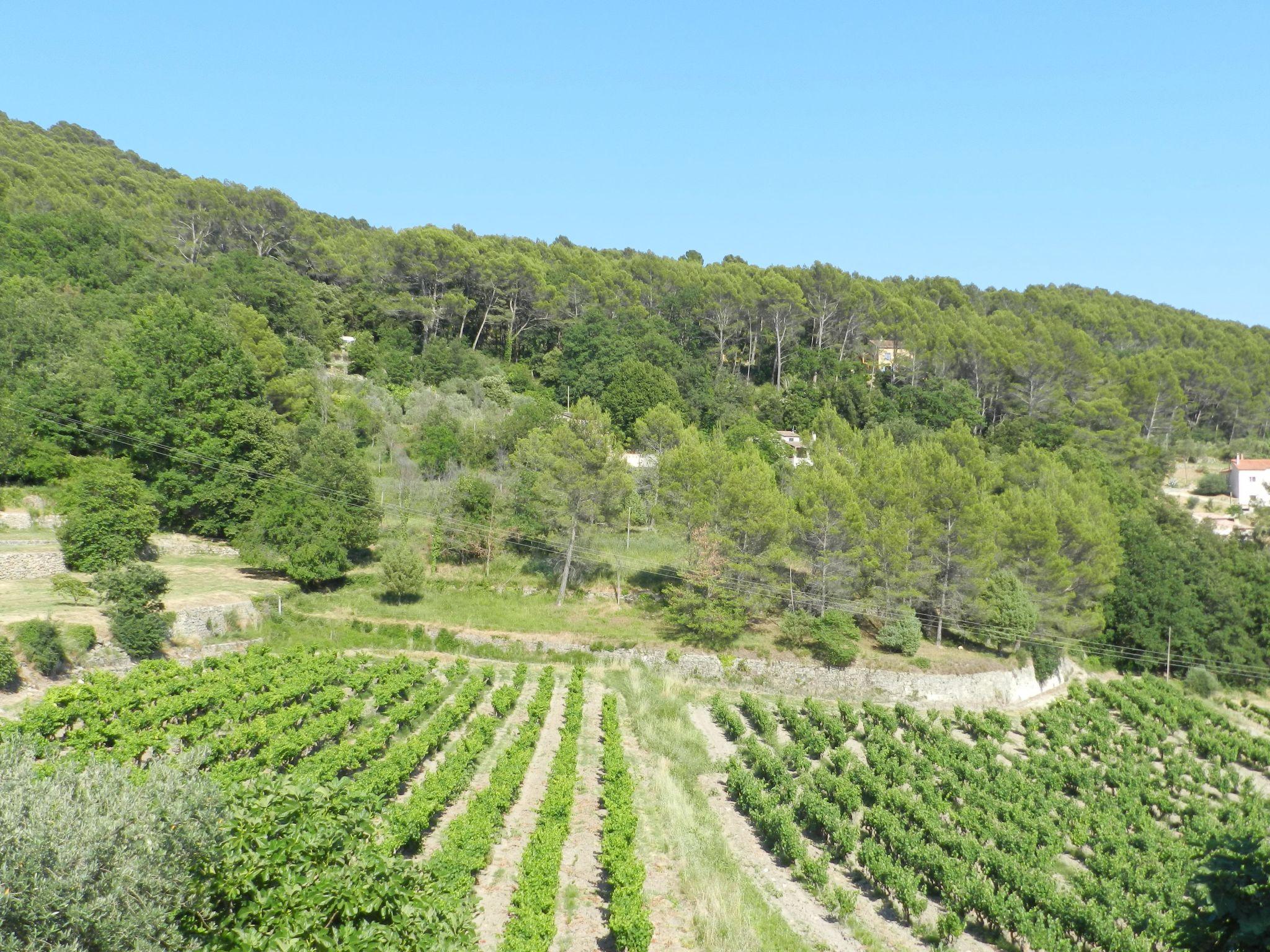 Photo 37 - 3 bedroom House in Draguignan with swimming pool and terrace